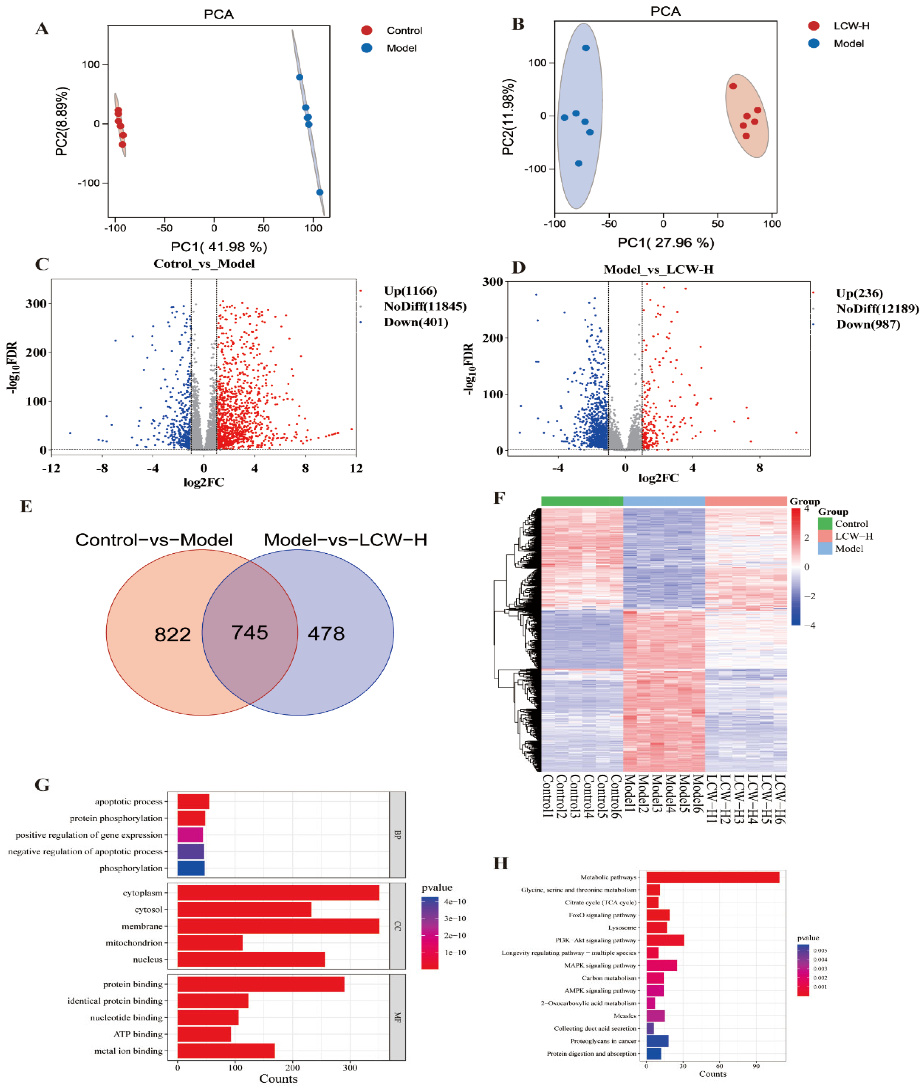 Pharmaceuticals 18 00916 g004
