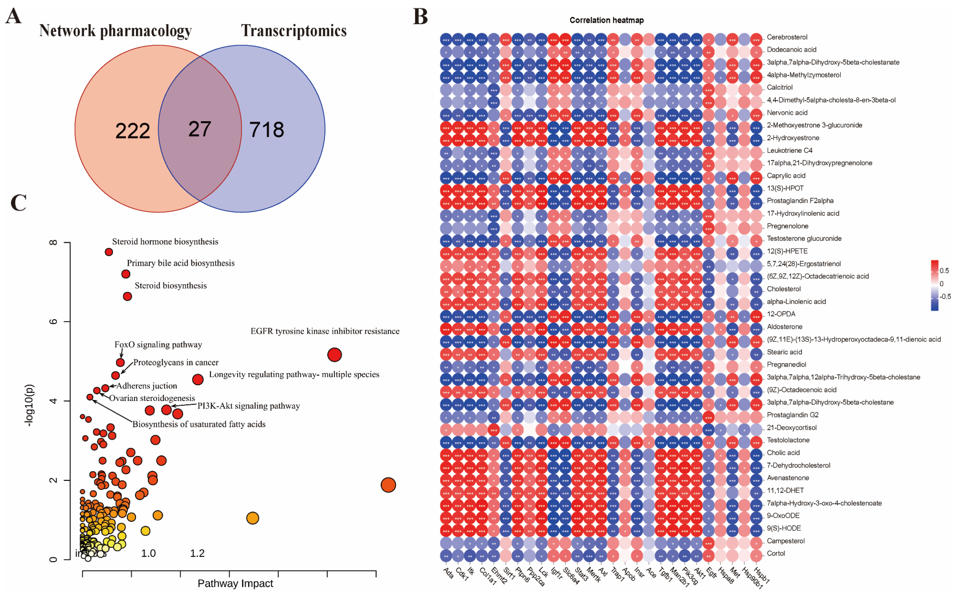 Pharmaceuticals 18 00916 g006