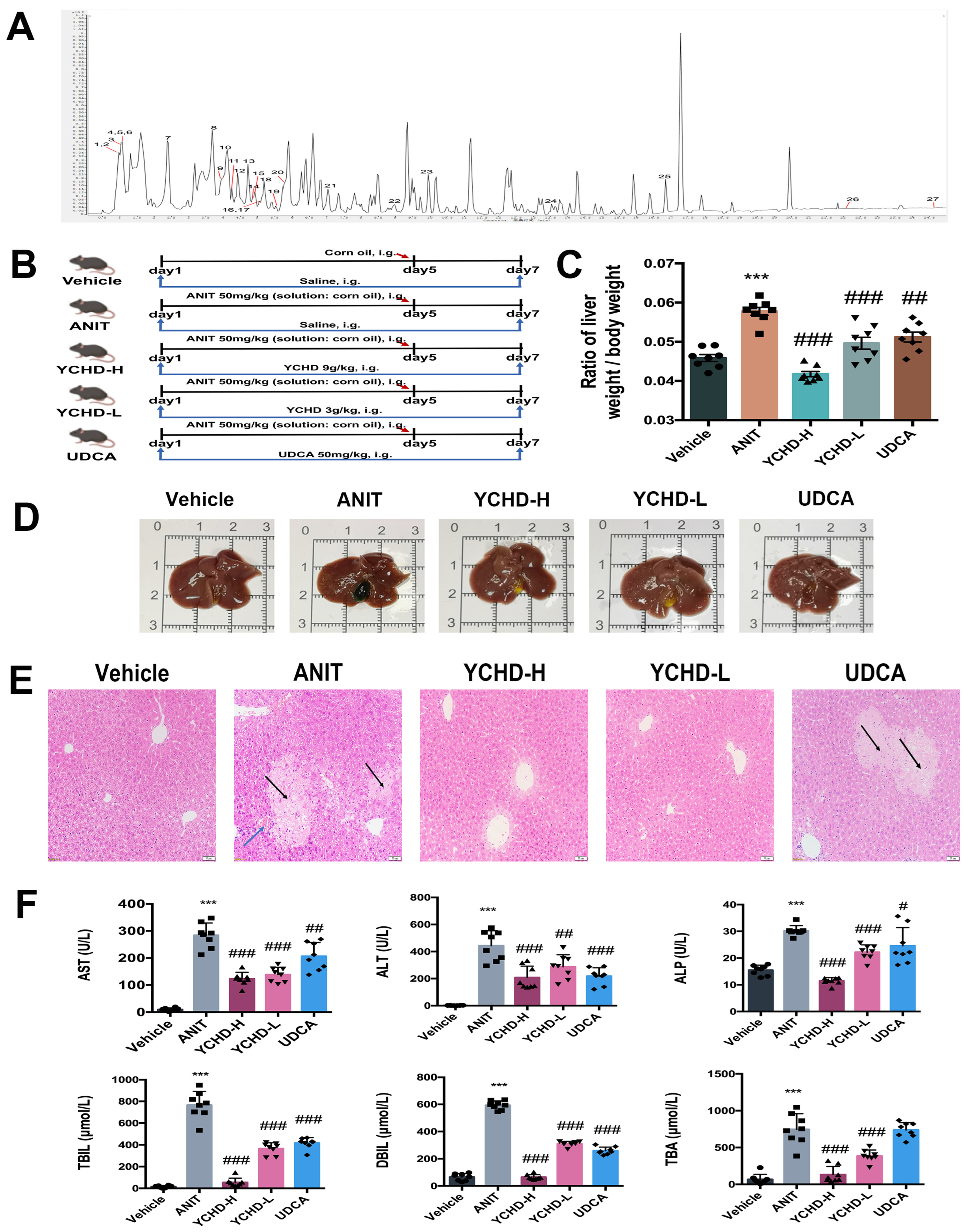 Pharmaceuticals 18 00932 g001