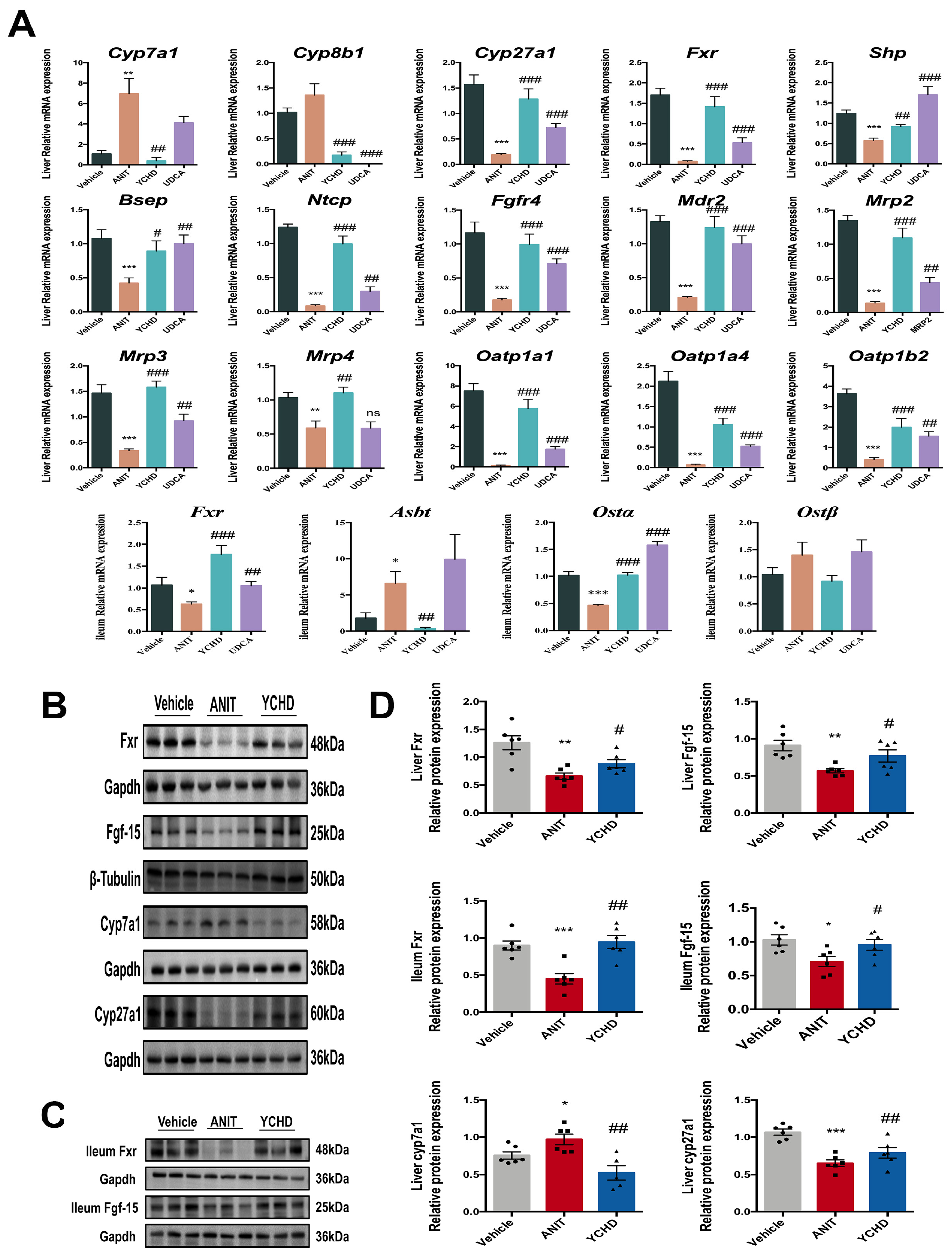Pharmaceuticals 18 00932 g003