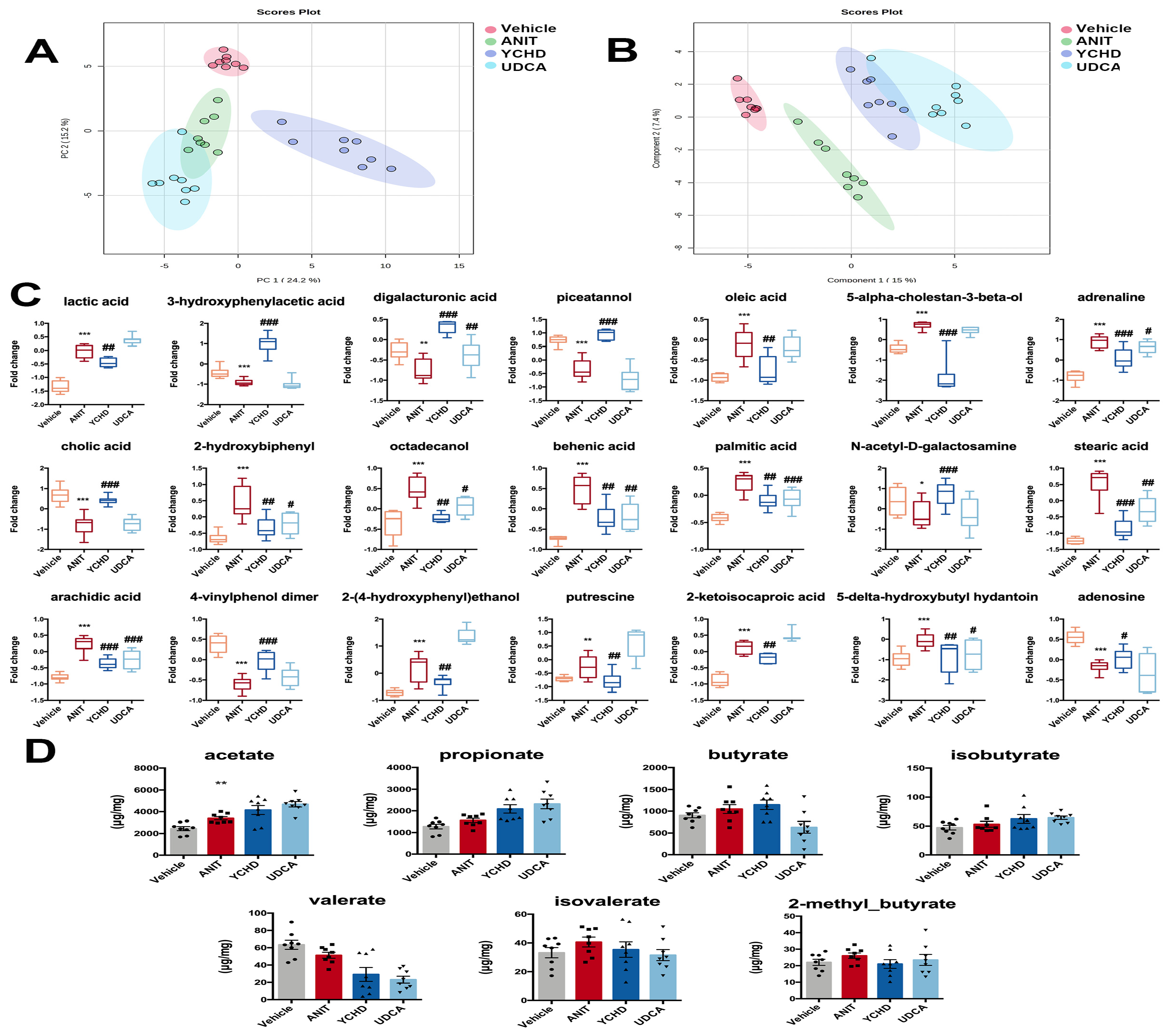 Pharmaceuticals 18 00932 g006