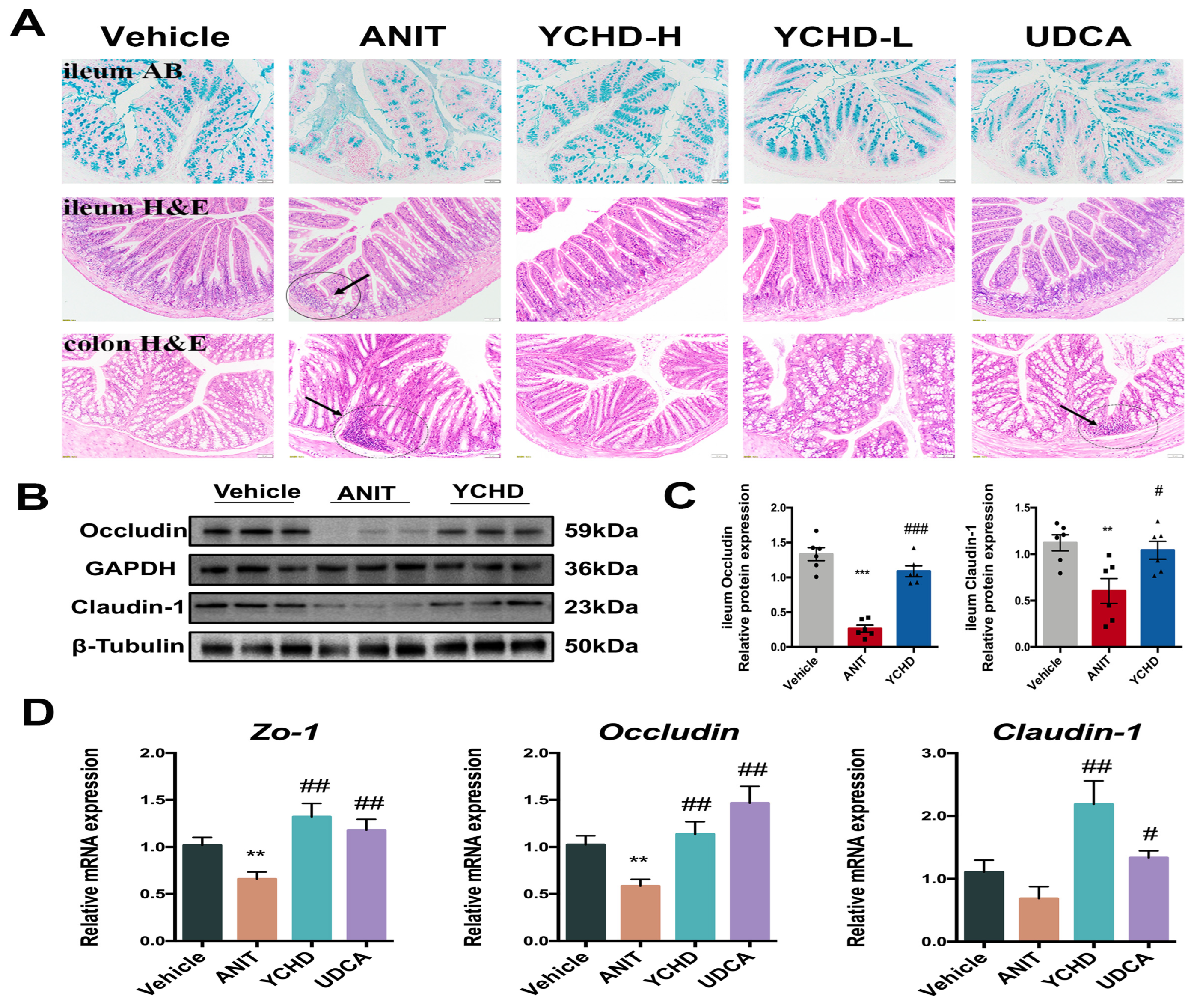 Pharmaceuticals 18 00932 g007