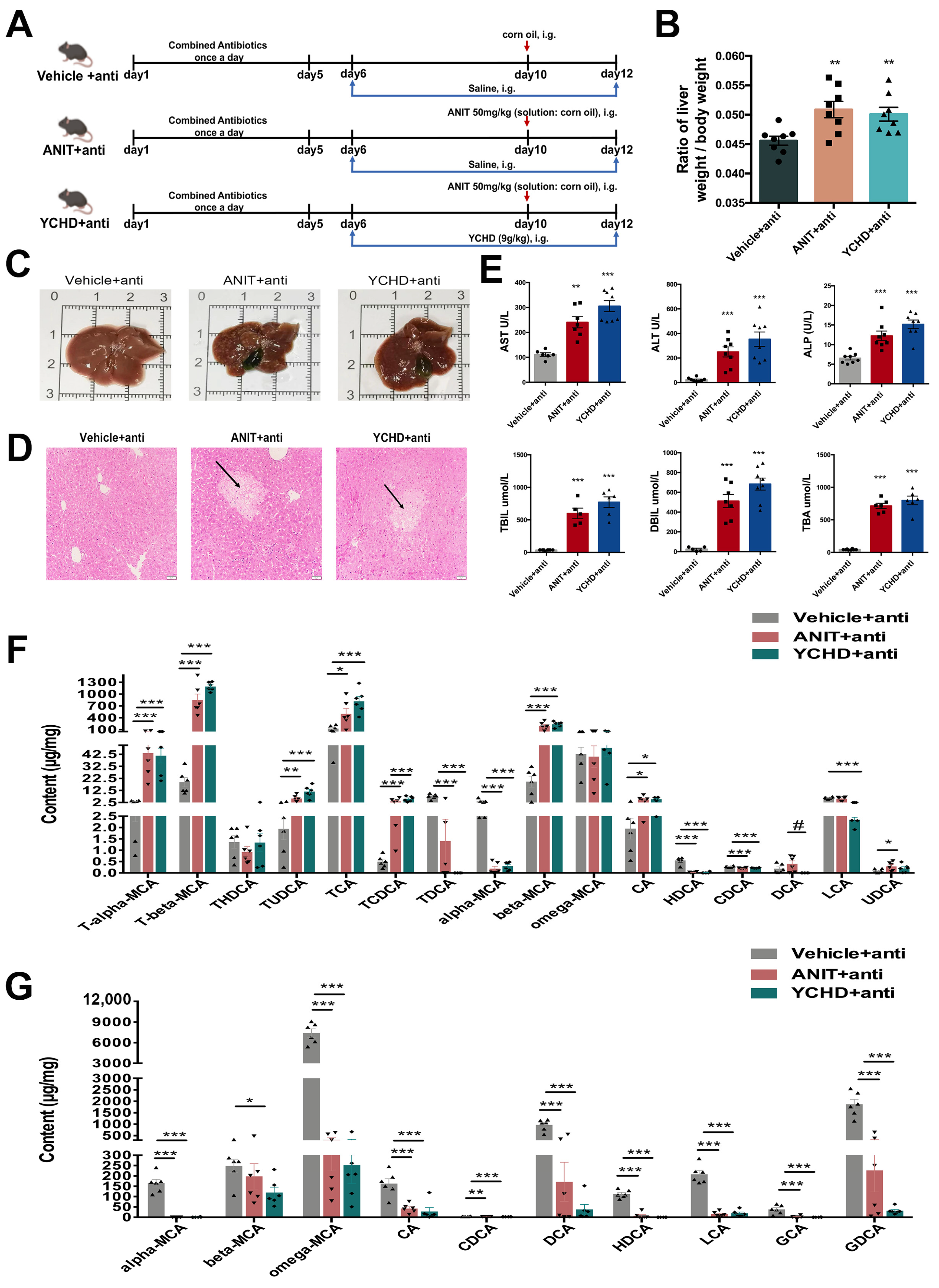 Pharmaceuticals 18 00932 g008