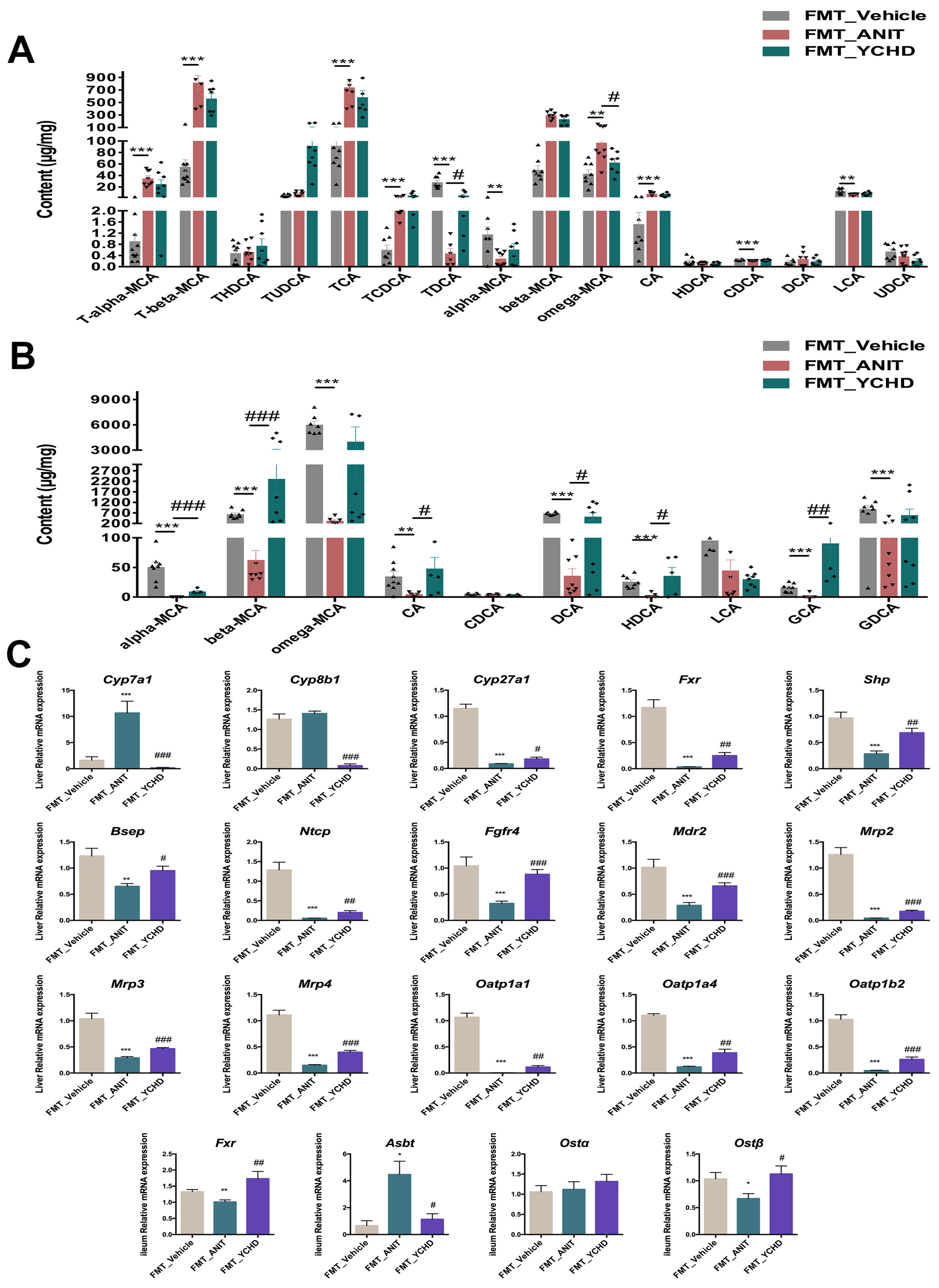 Pharmaceuticals 18 00932 g011