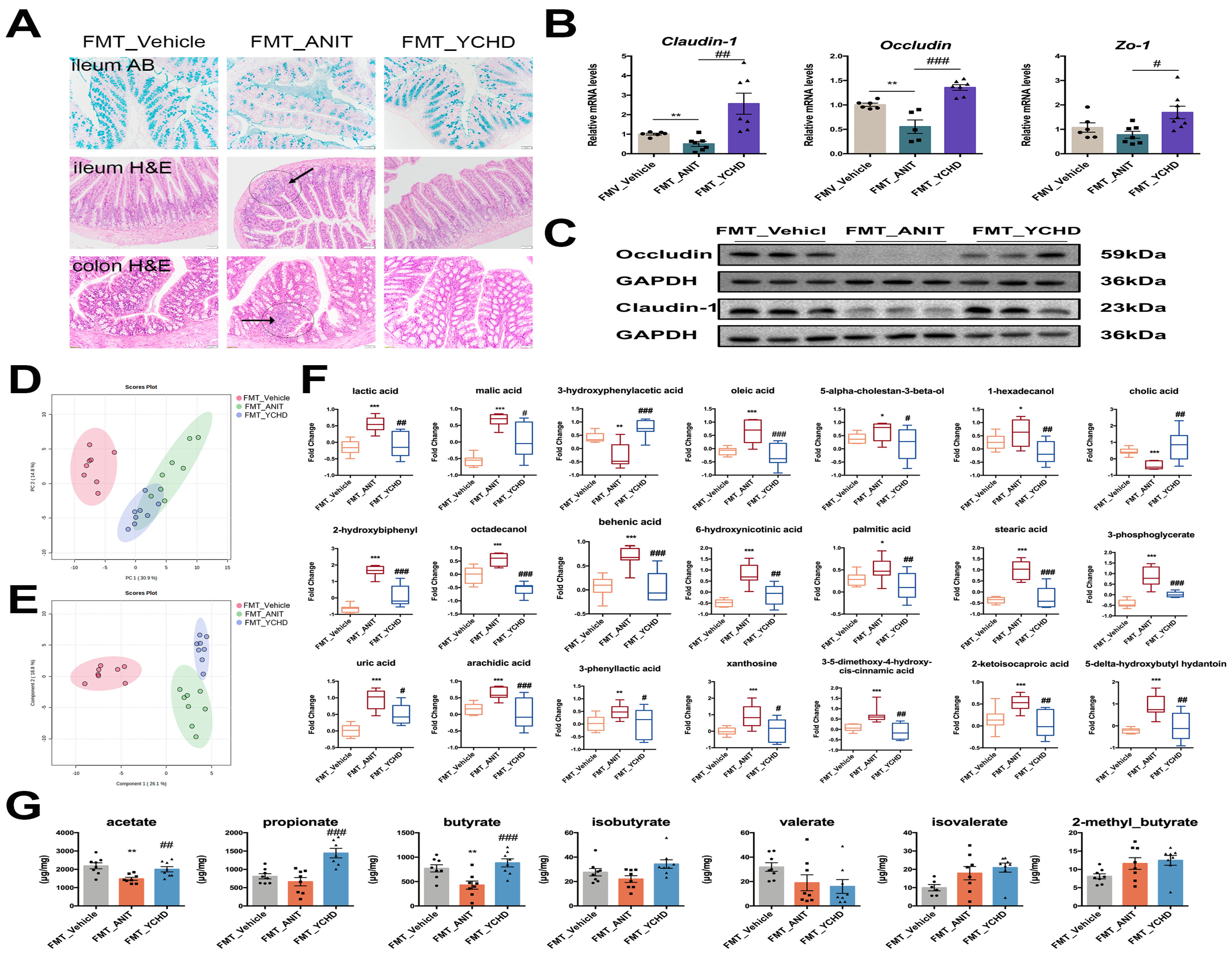 Pharmaceuticals 18 00932 g013