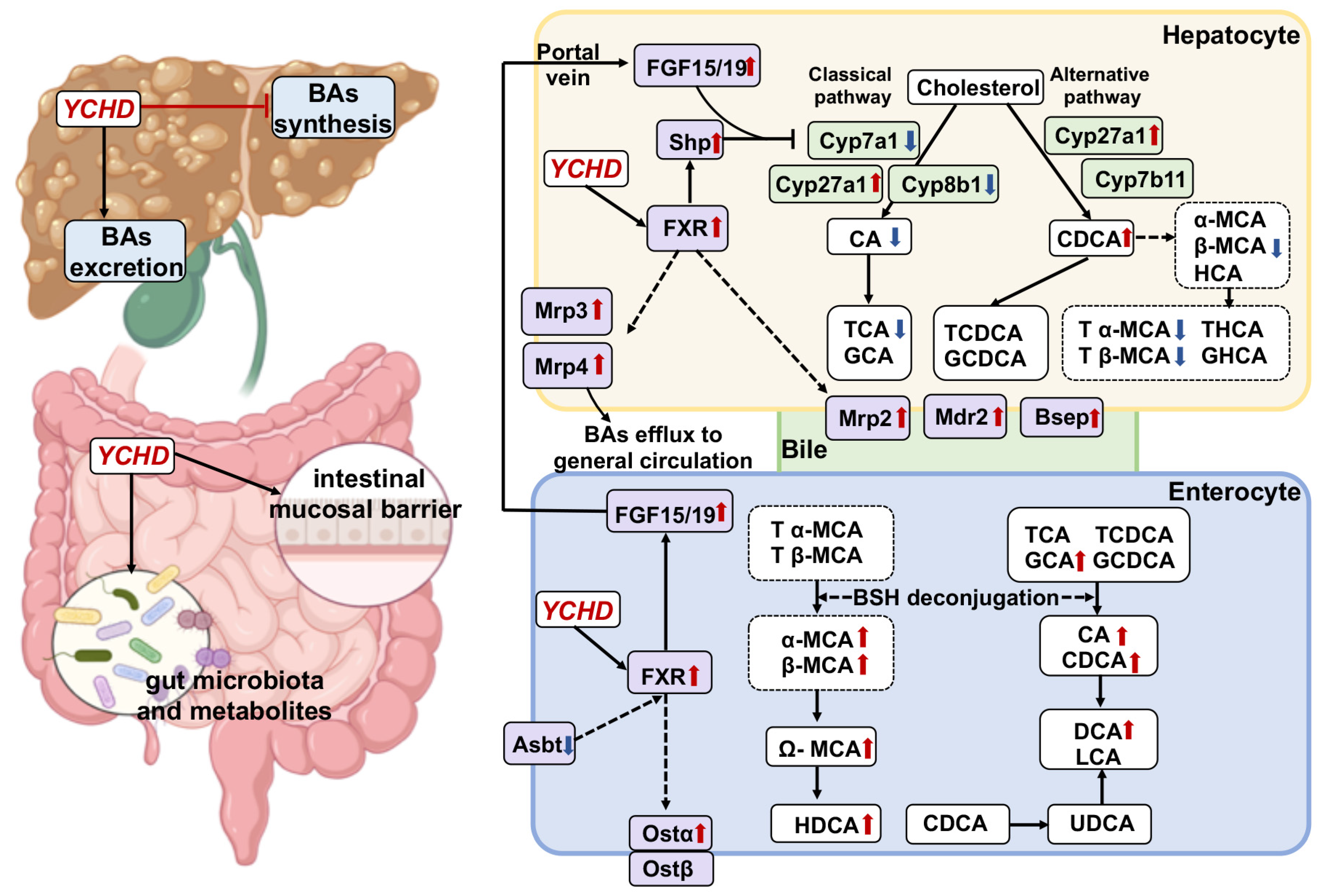 Pharmaceuticals 18 00932 g014
