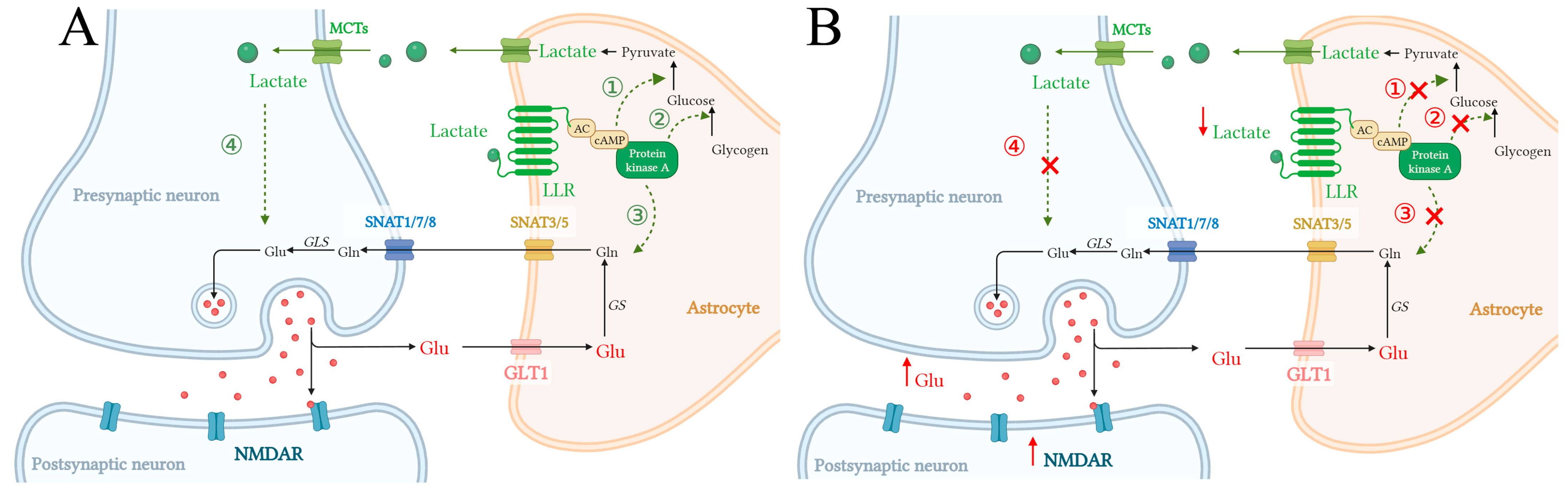 Pharmaceuticals 18 00935 g004