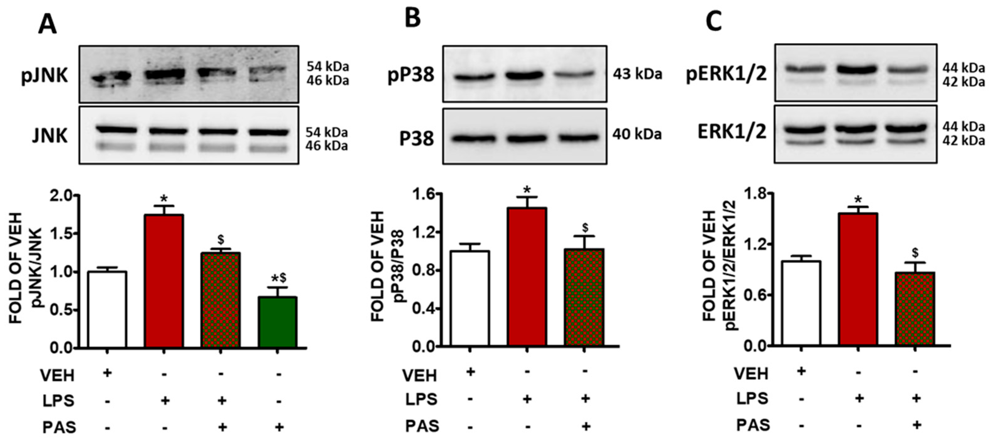 Pharmaceuticals 18 00942 g003