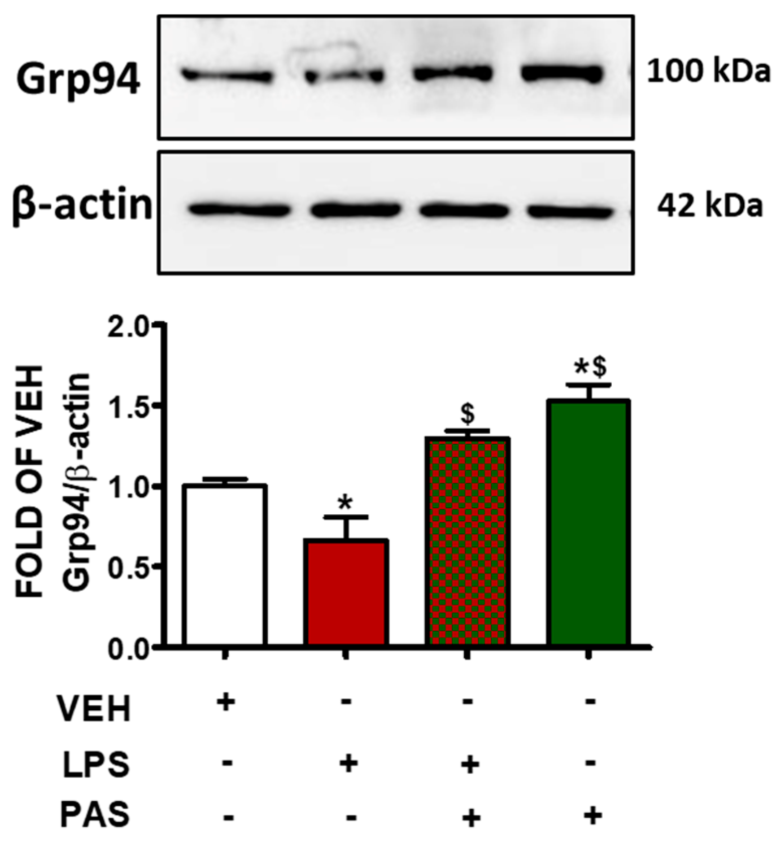 Pharmaceuticals 18 00942 g004