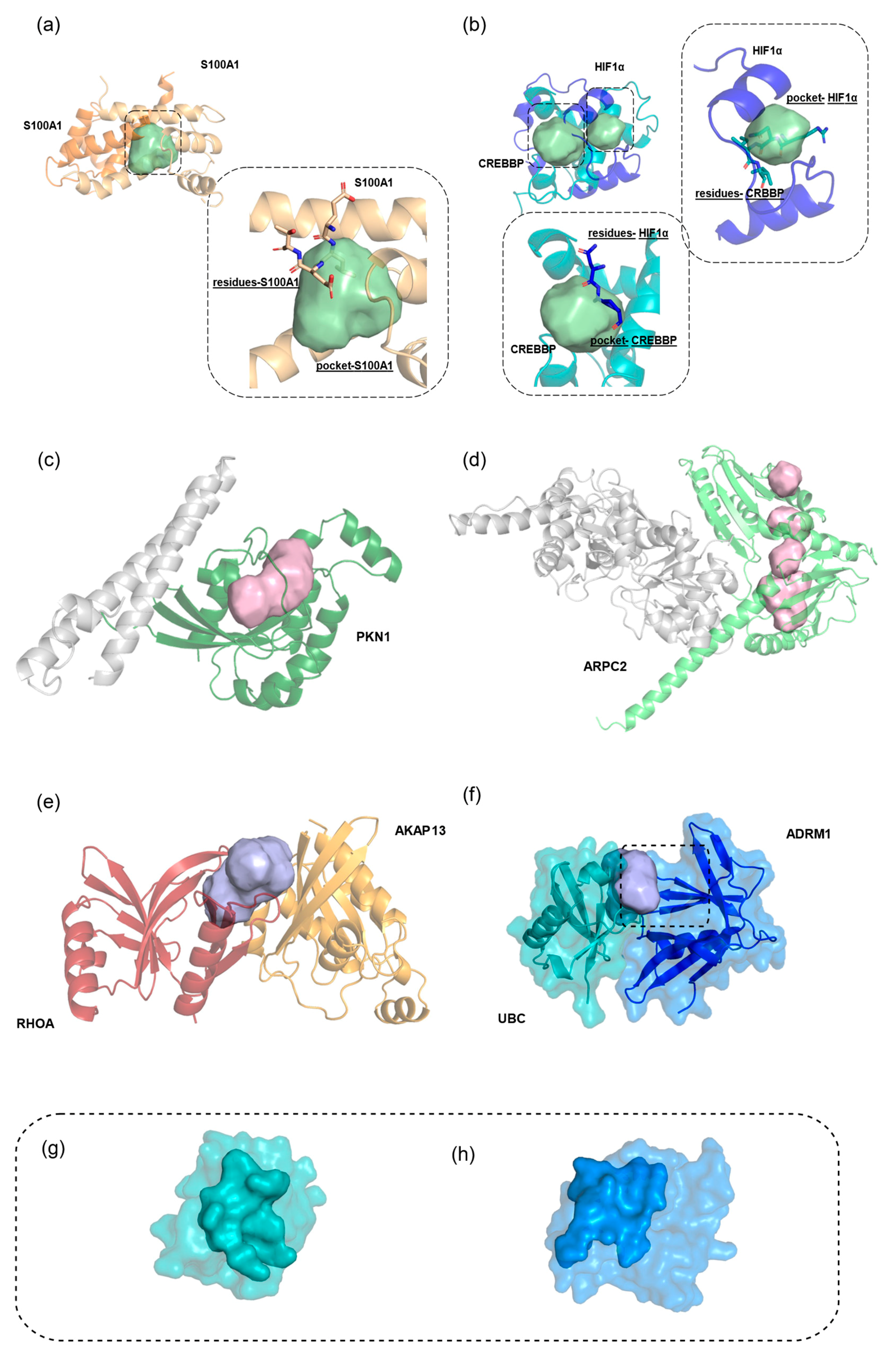 Pharmaceuticals 18 00958 g003