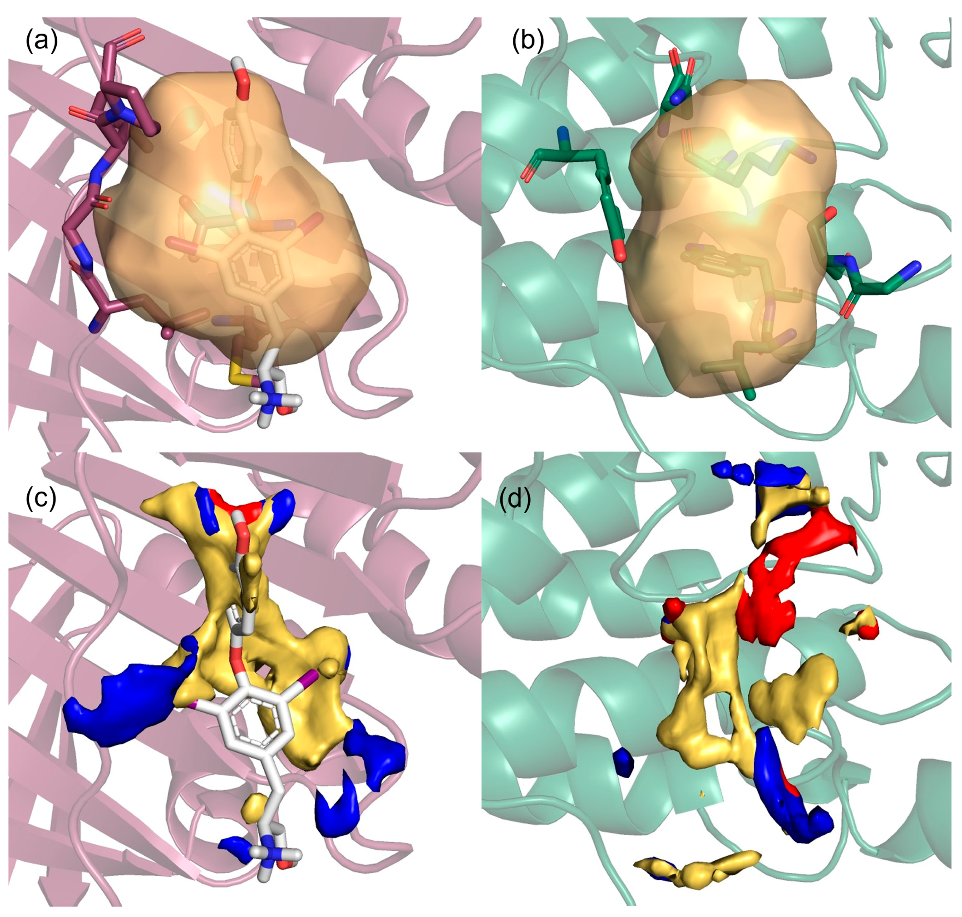 Pharmaceuticals 18 00958 g006