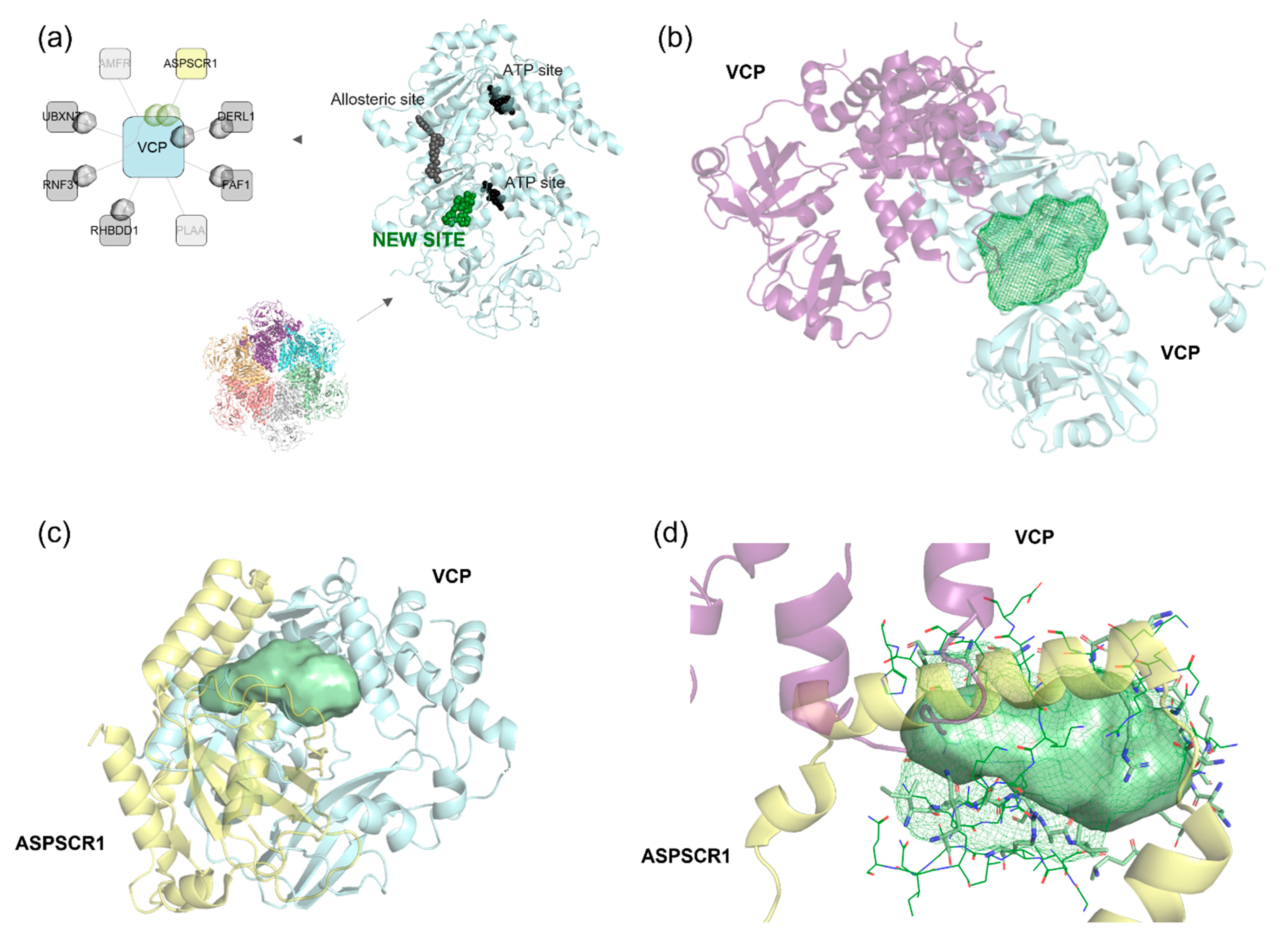 Pharmaceuticals 18 00958 g009