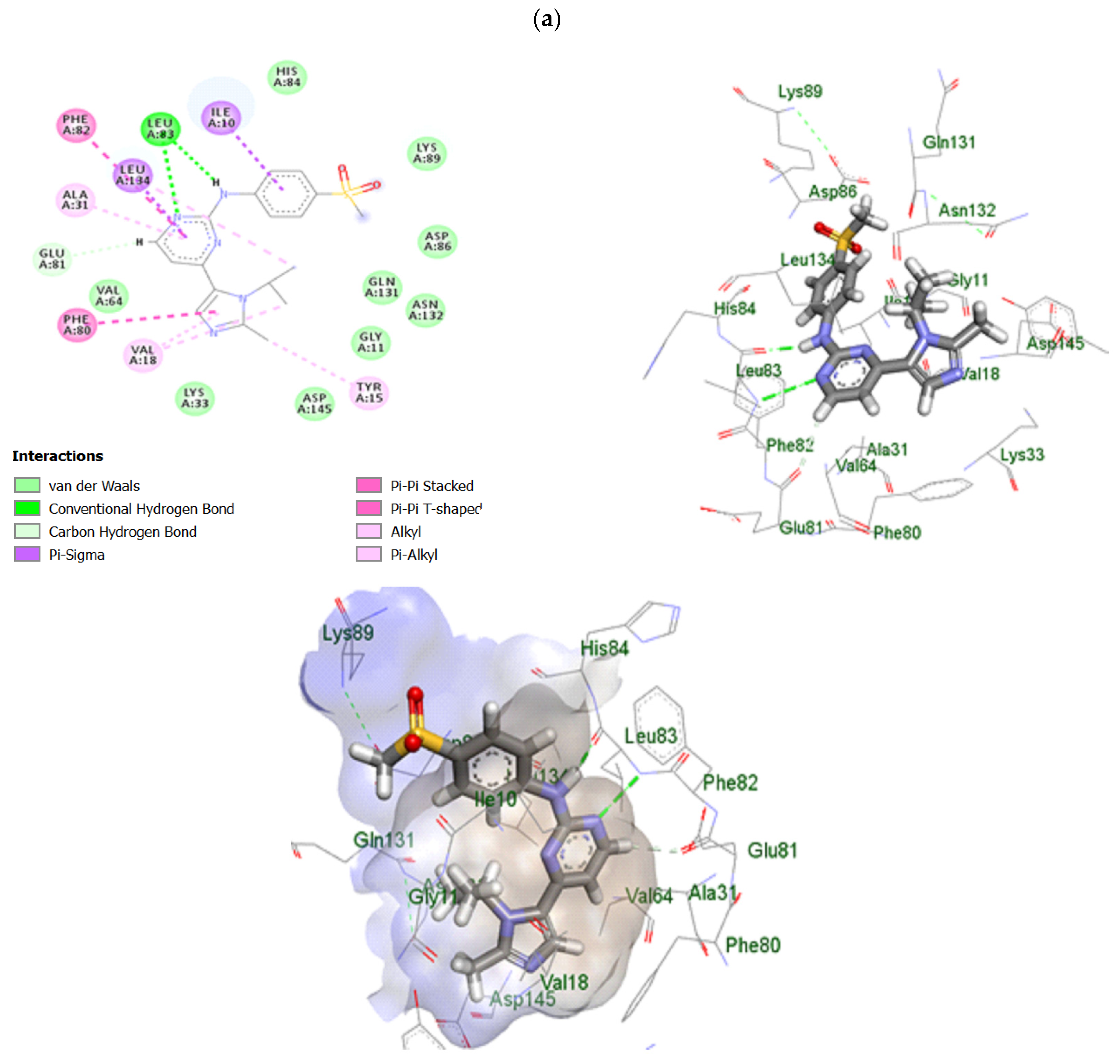 Pharmaceuticals 18 00972 g015a