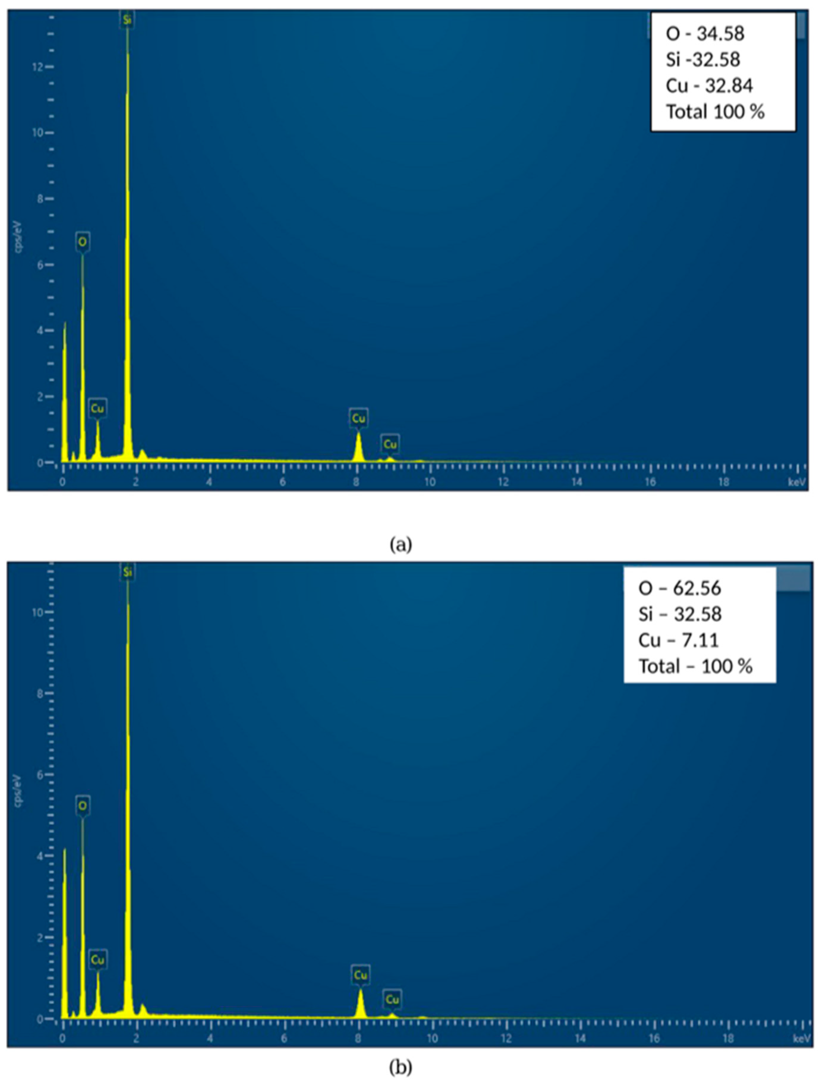 Pharmaceuticals 18 00976 g003