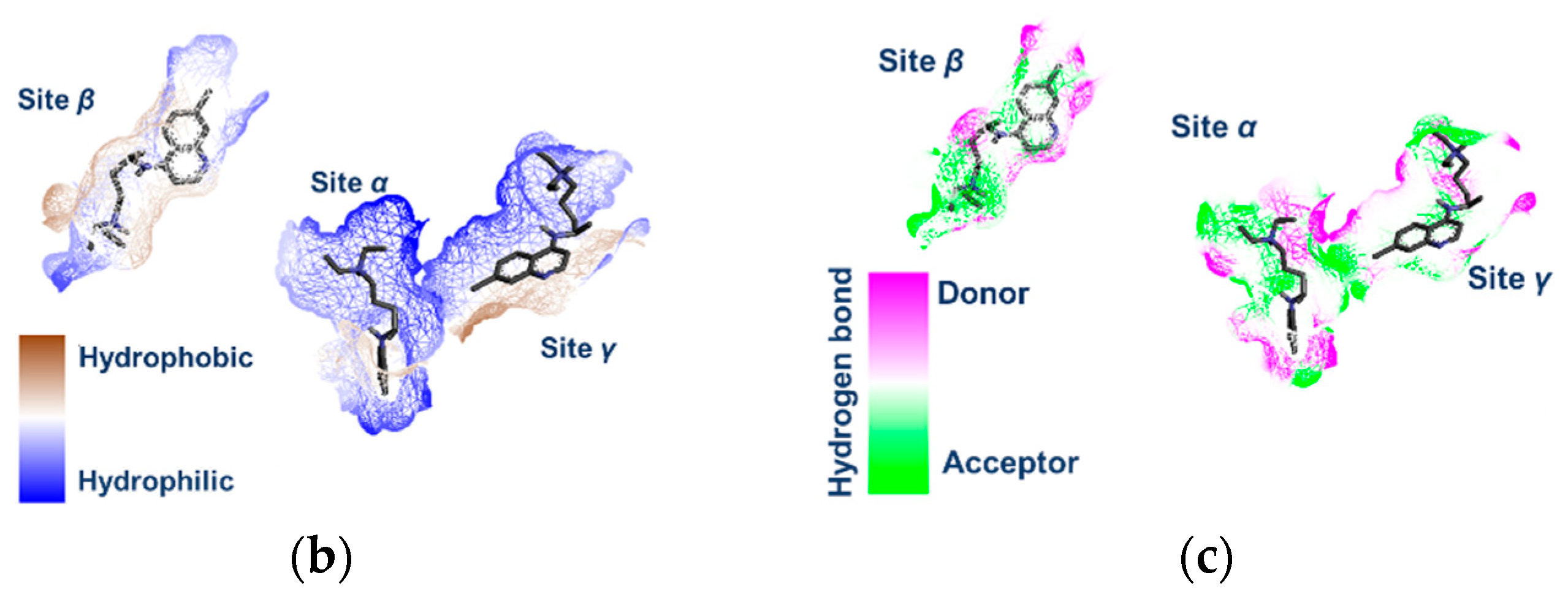 Pharmaceuticals 18 00982 g005b