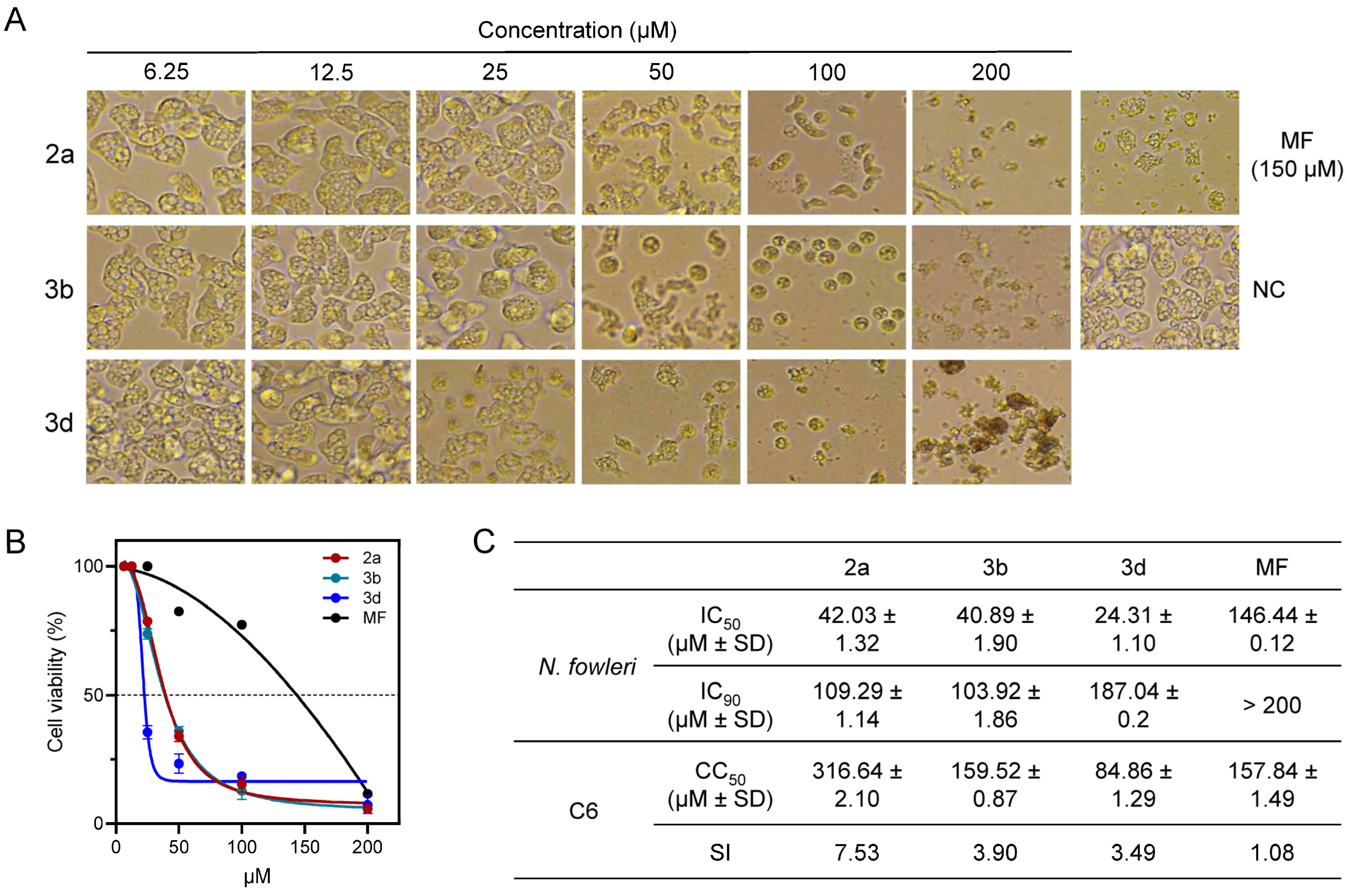 Pharmaceuticals 18 00984 g004