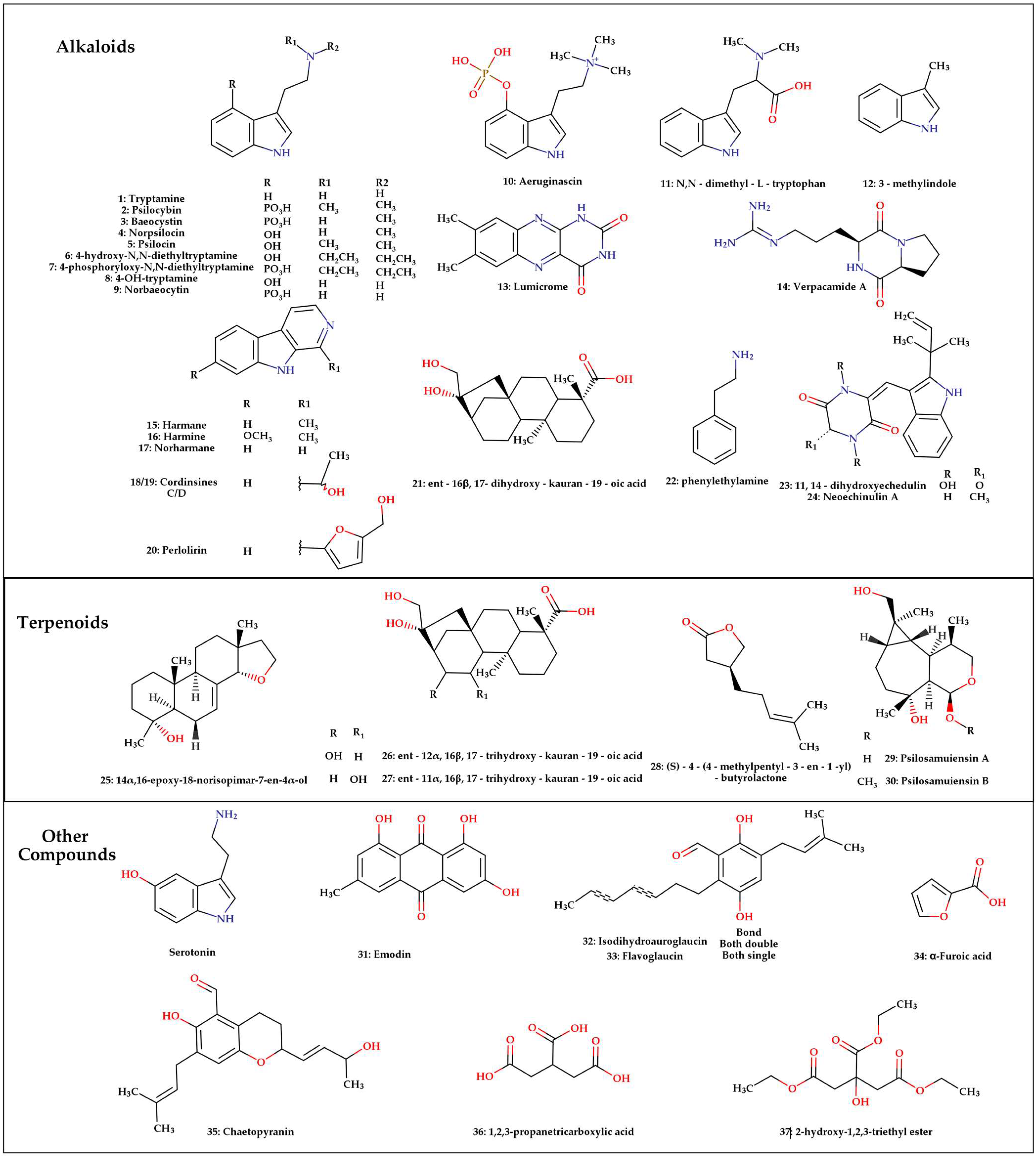 Pharmaceuticals 18 00989 g004