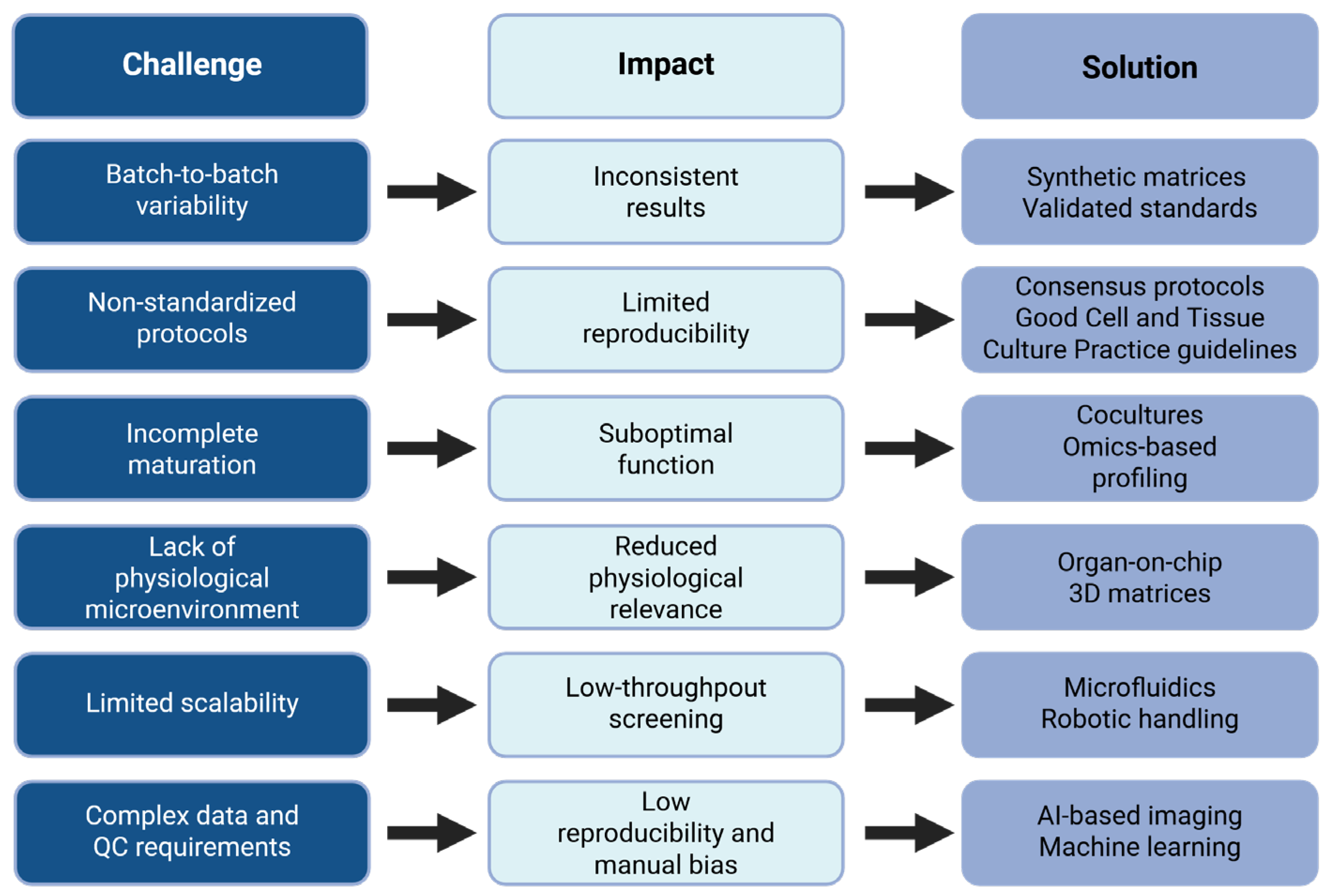 Pharmaceuticals 18 00992 g003