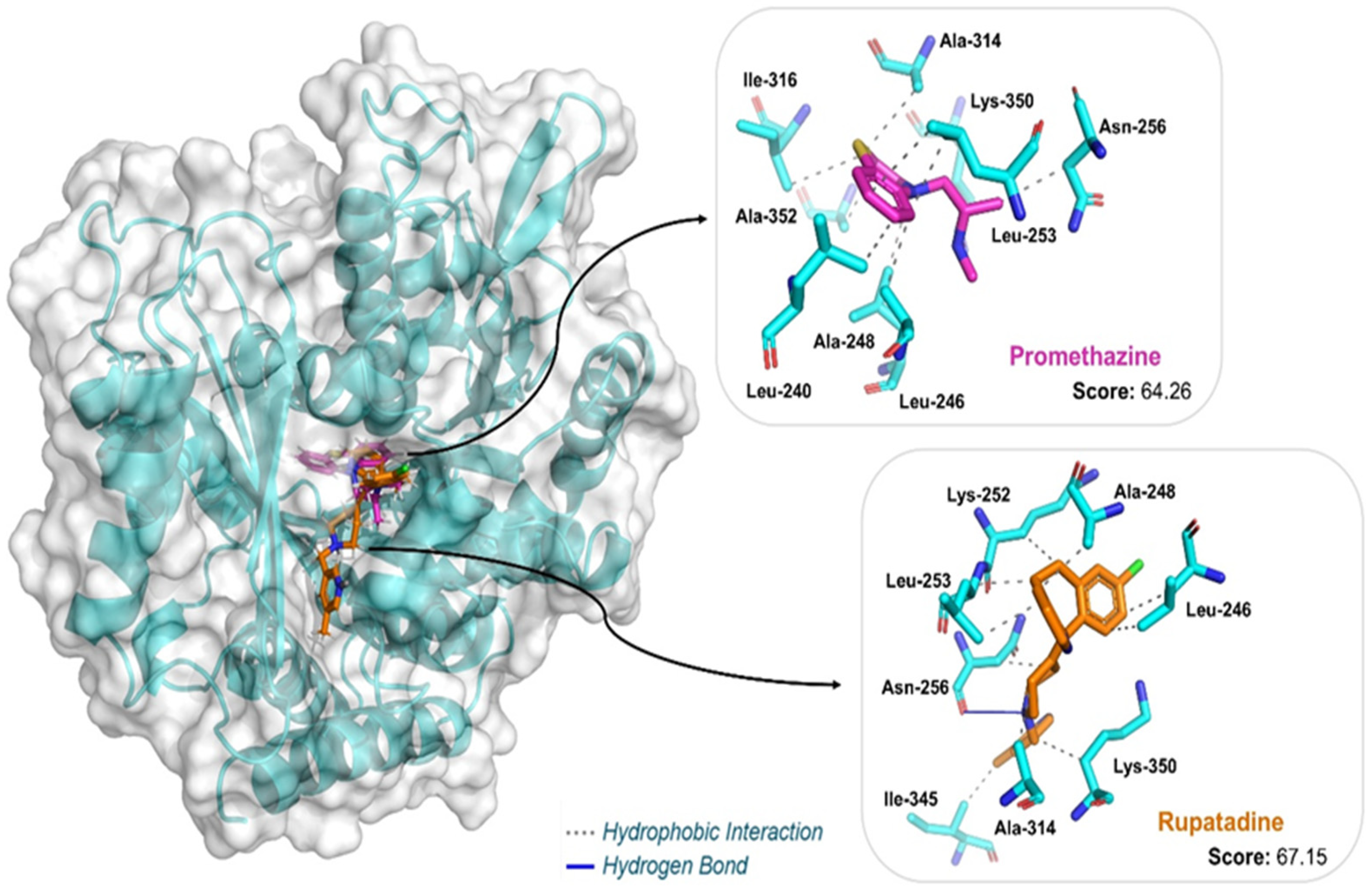 Pharmaceuticals 18 00997 g006