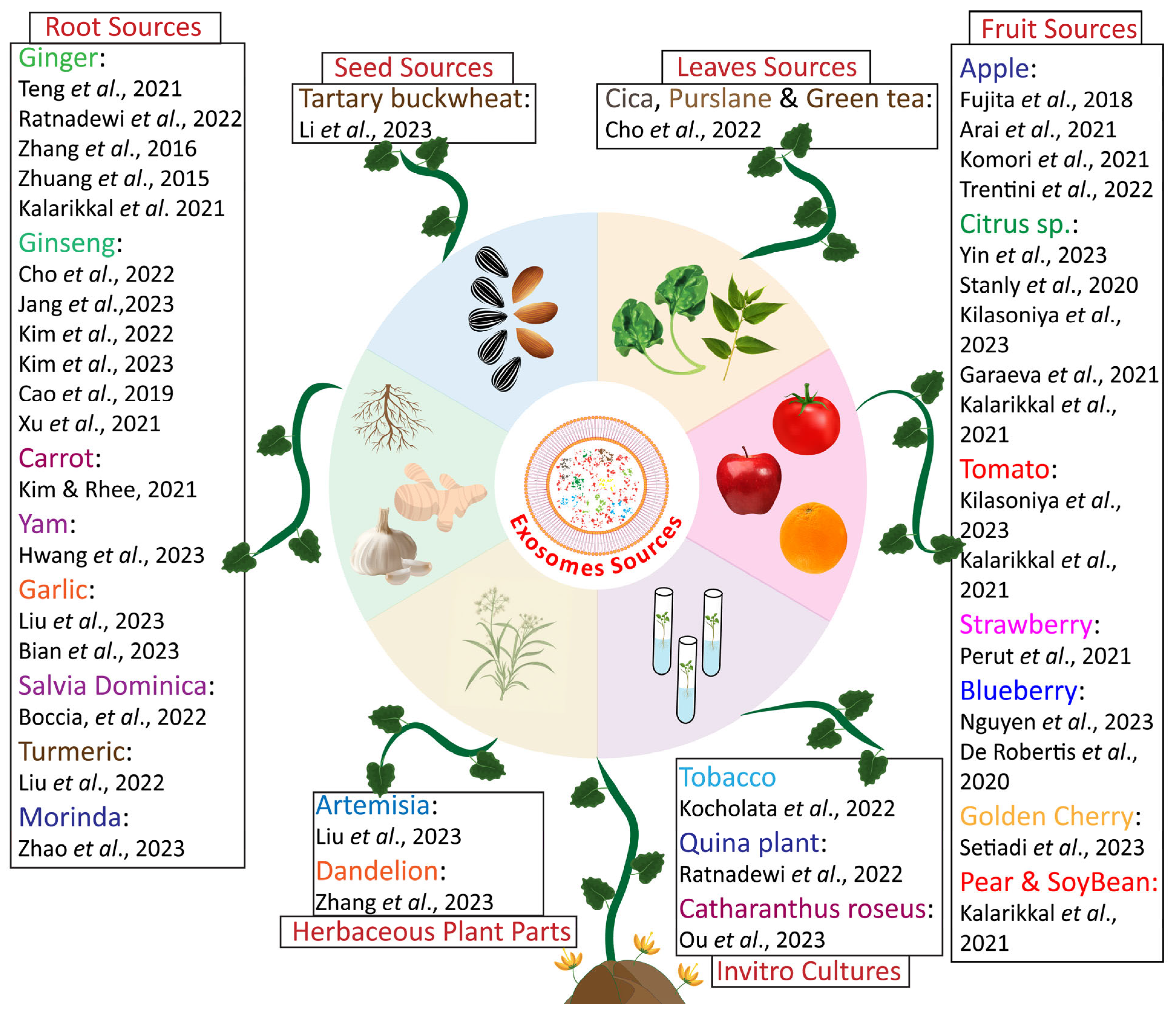 Pharmaceuticals 18 01005 g004