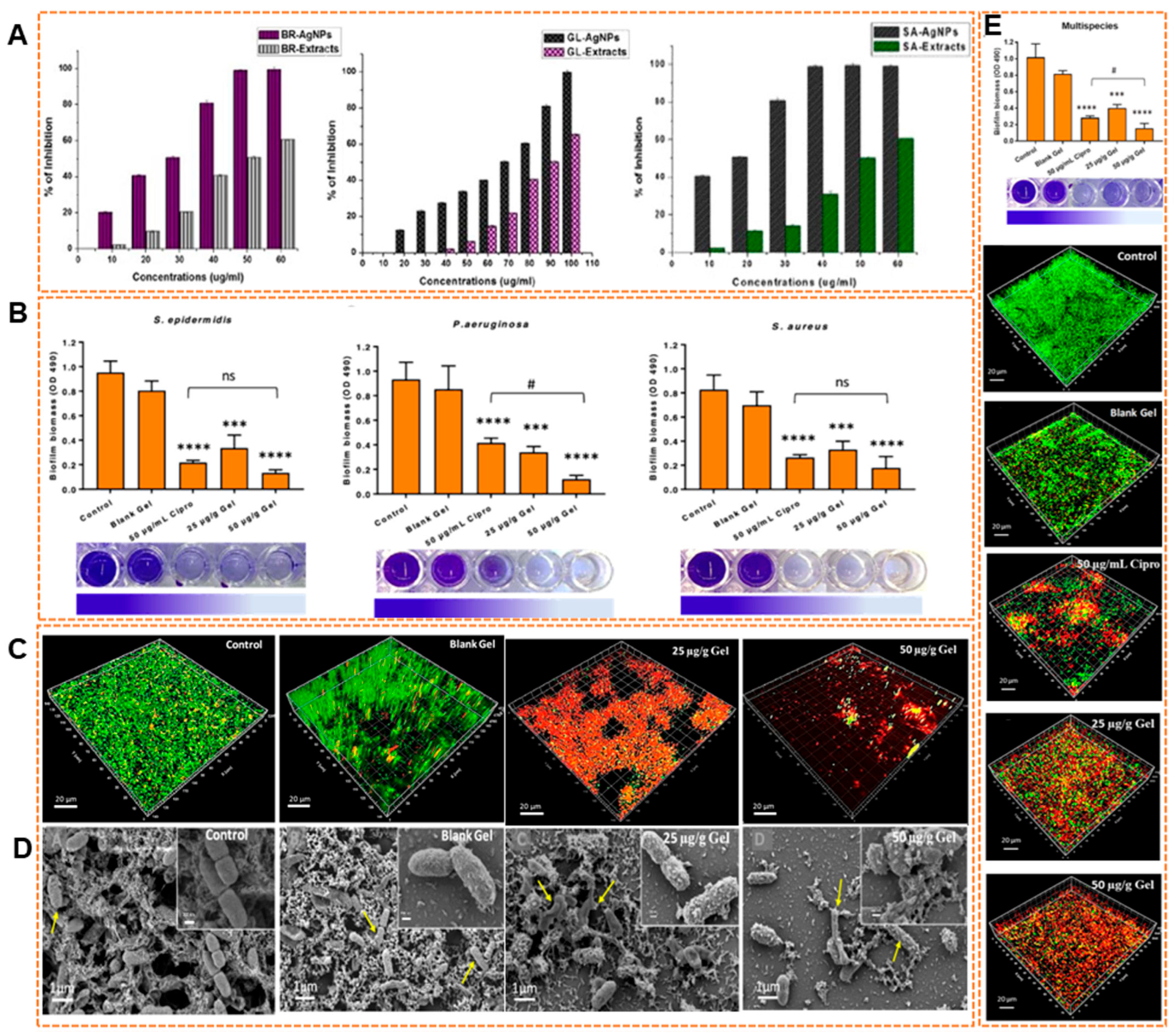 Pharmaceuticals 18 01006 g003a