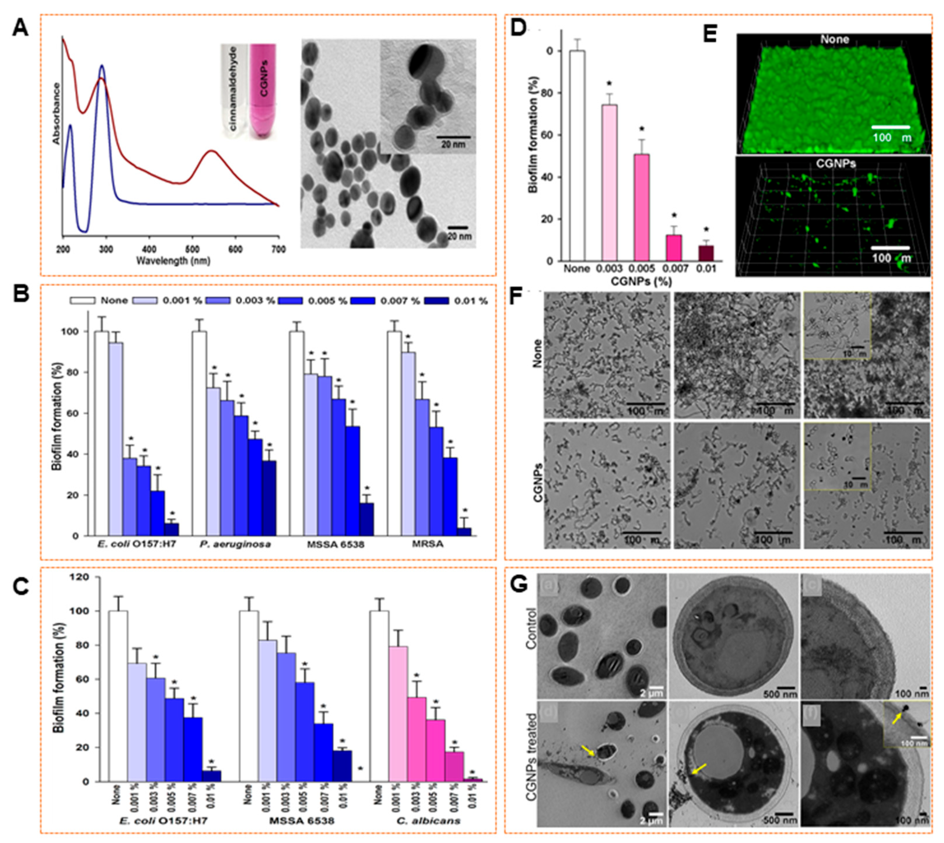 Pharmaceuticals 18 01006 g004