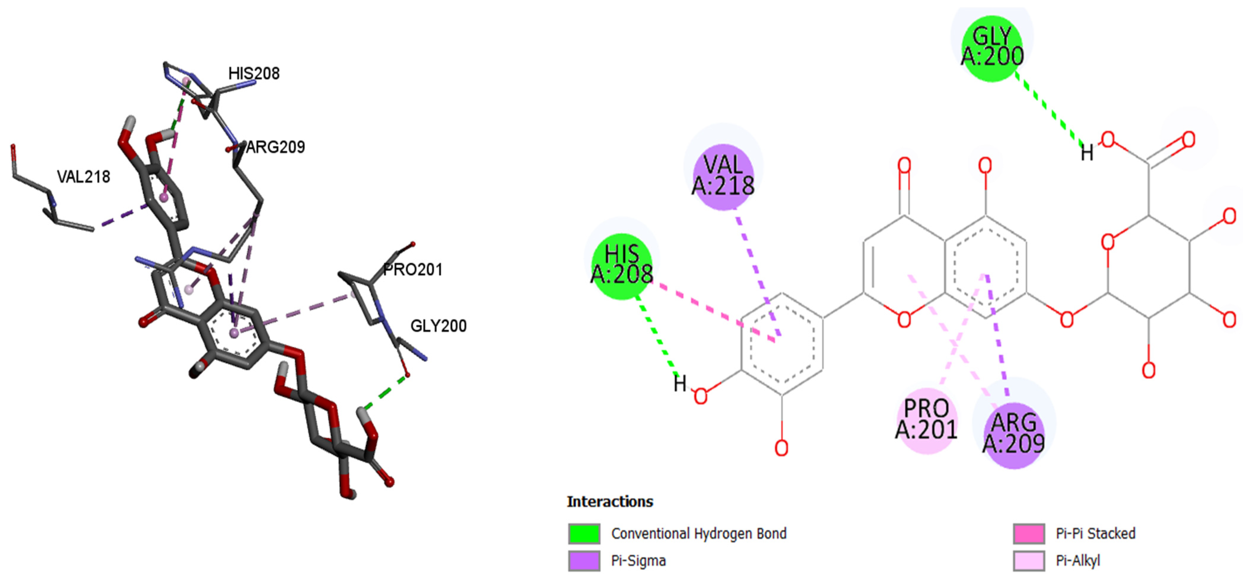 Pharmaceuticals 18 01012 g013