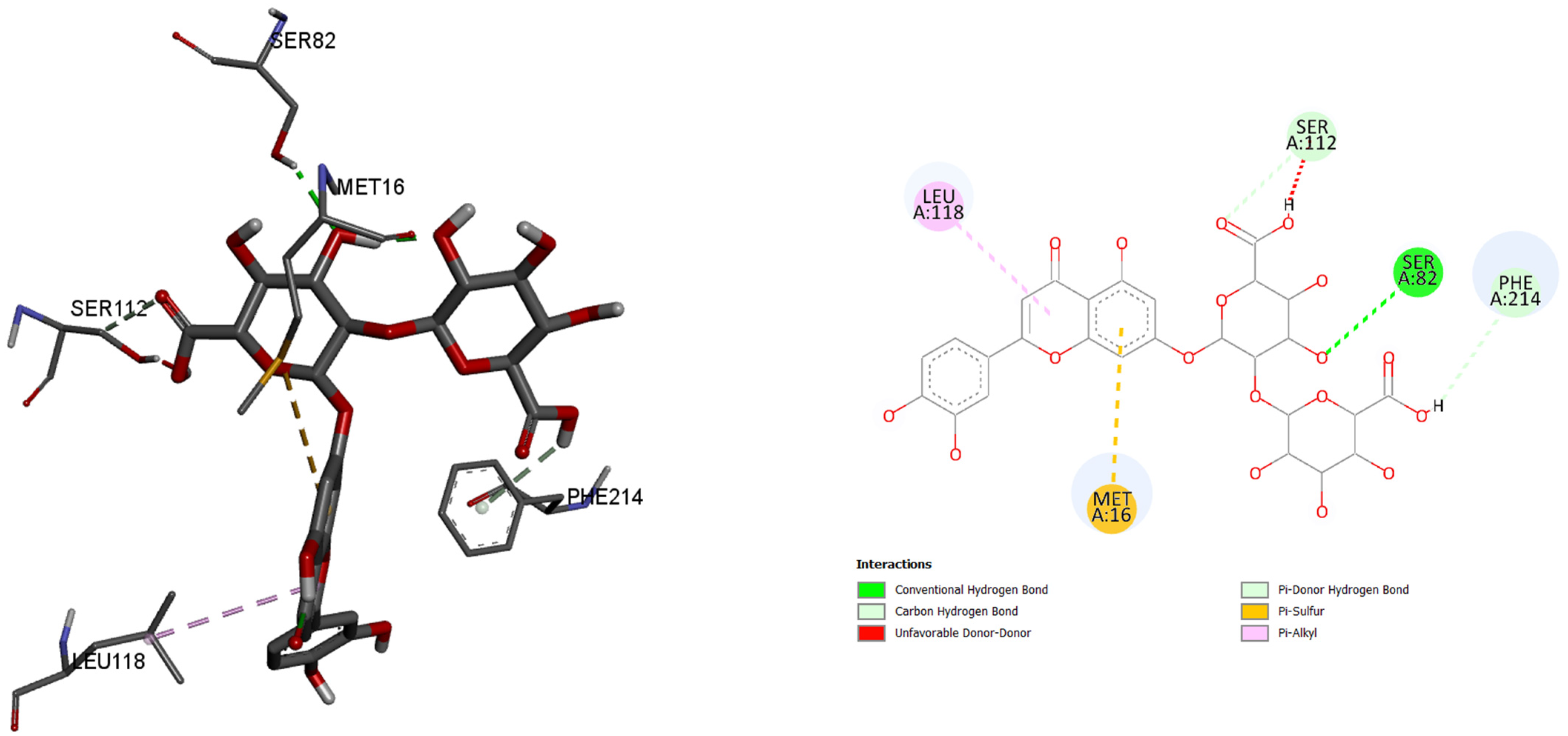 Pharmaceuticals 18 01012 g015