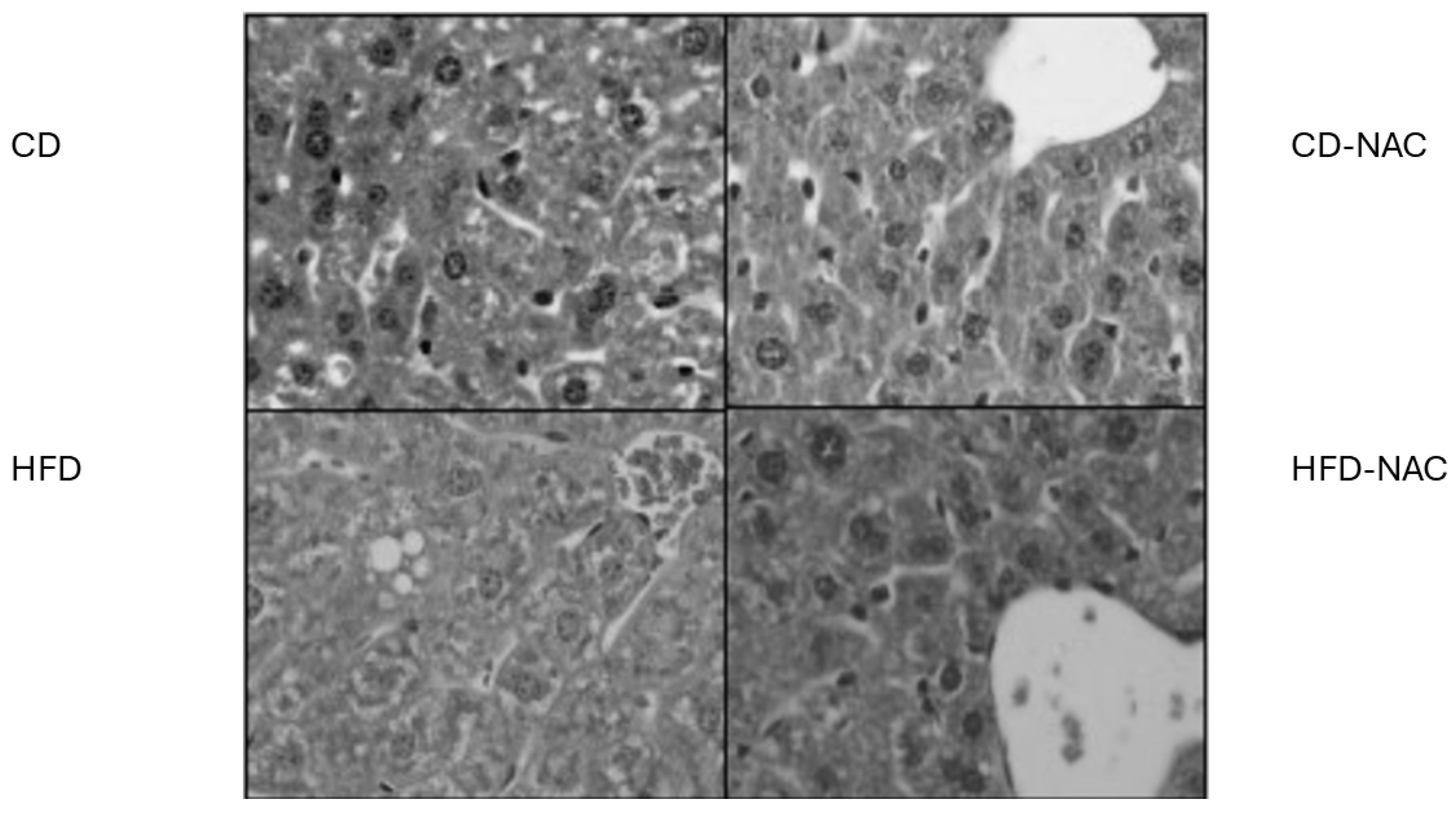 Pharmaceuticals 18 01014 g004