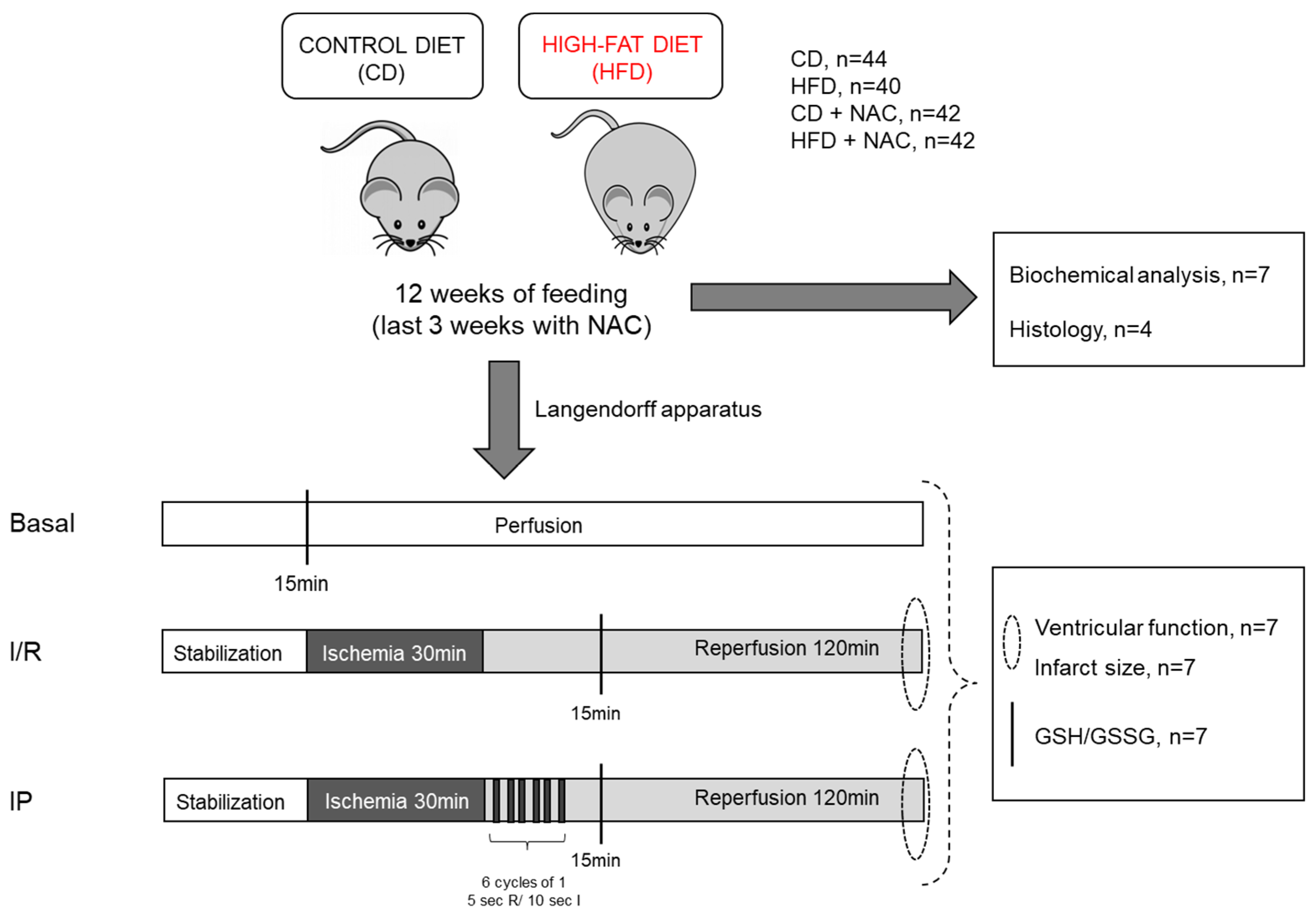 Pharmaceuticals 18 01014 g009