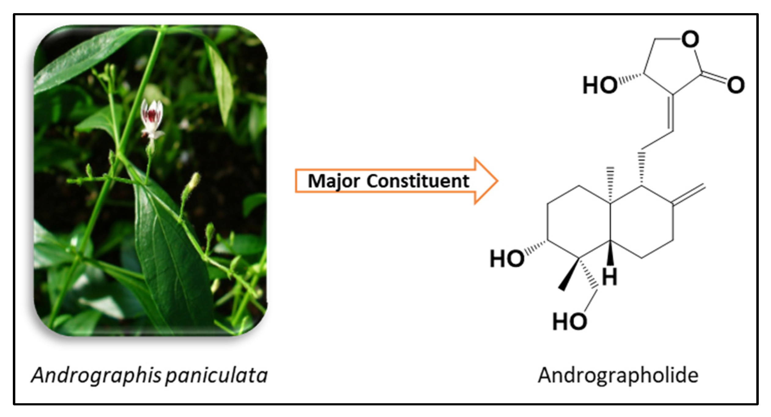 Pharmaceuticals 18 01026 g001