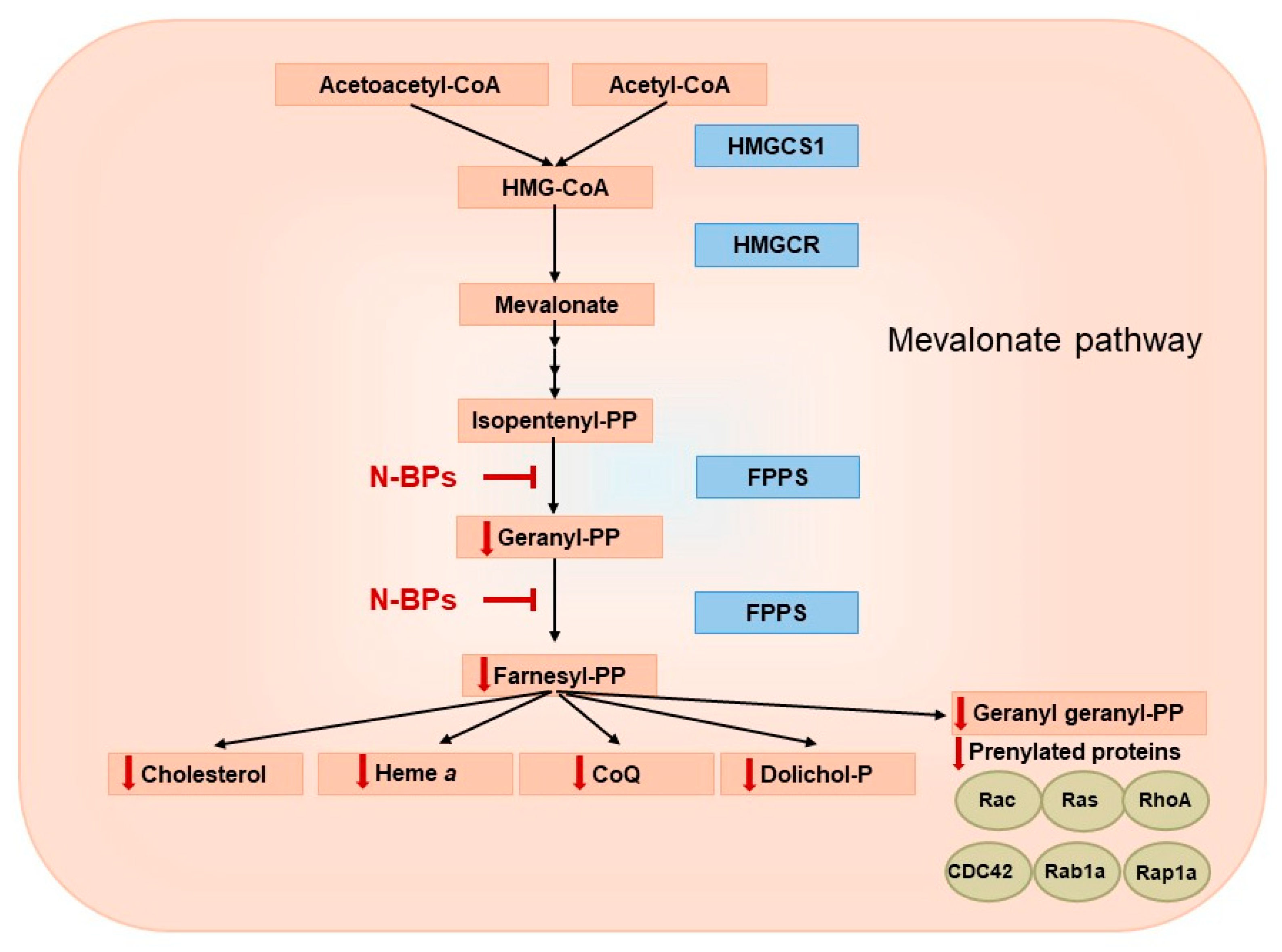 Pharmaceuticals 18 01029 g002 Pharmaceuticals 18 01029 g002