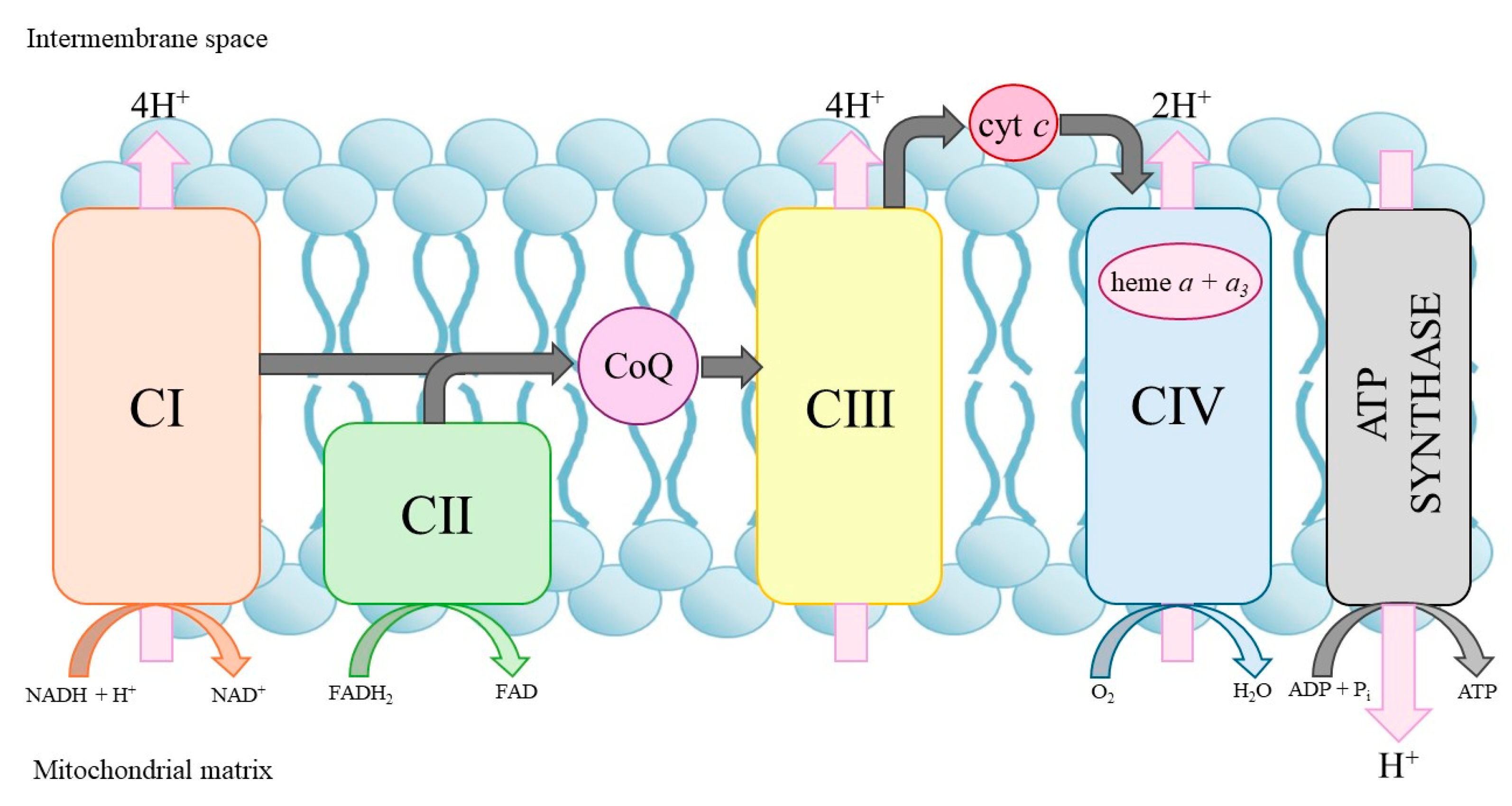 Pharmaceuticals 18 01029 g003 Pharmaceuticals 18 01029 g003