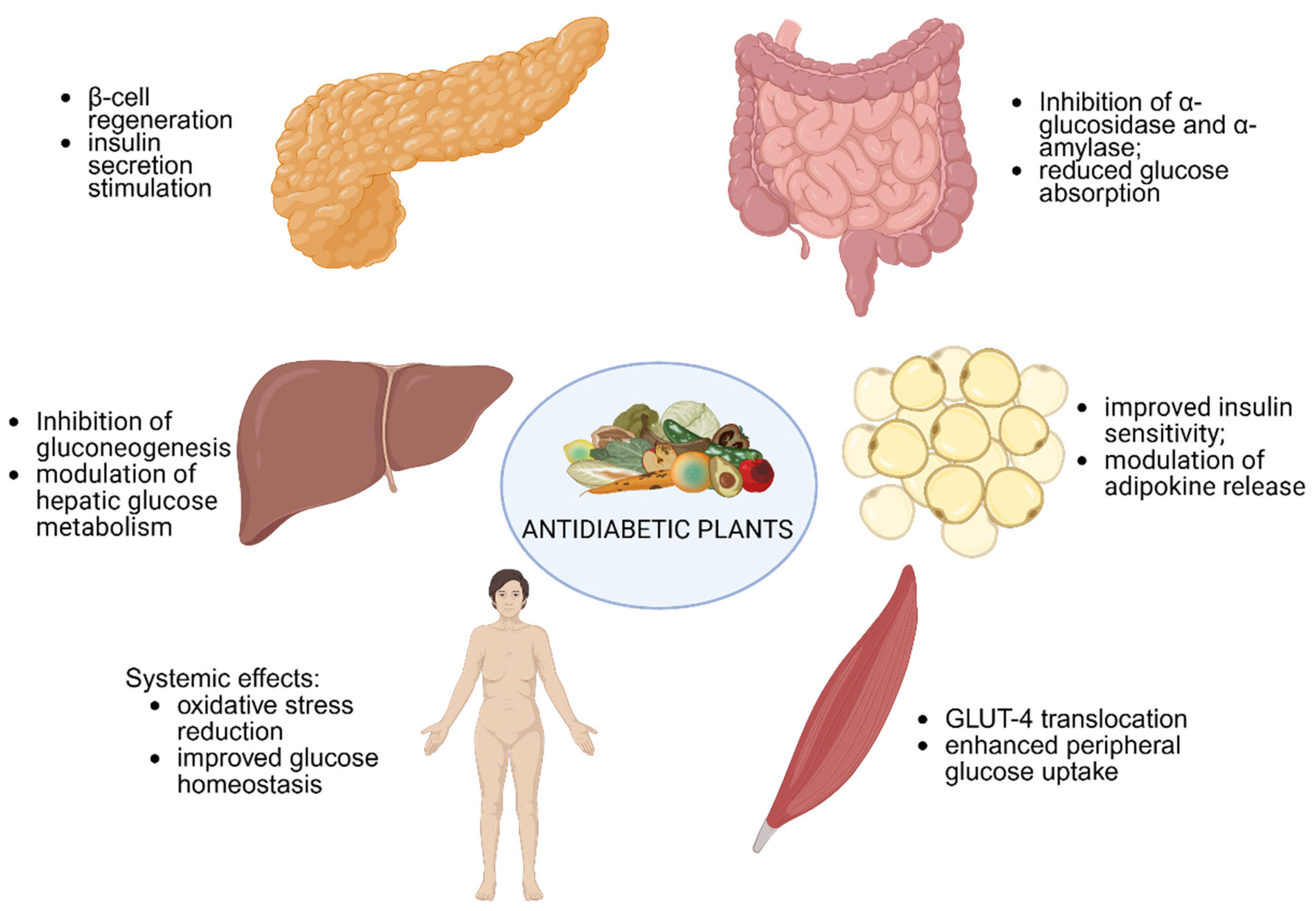 Pharmaceuticals 18 01035 g002