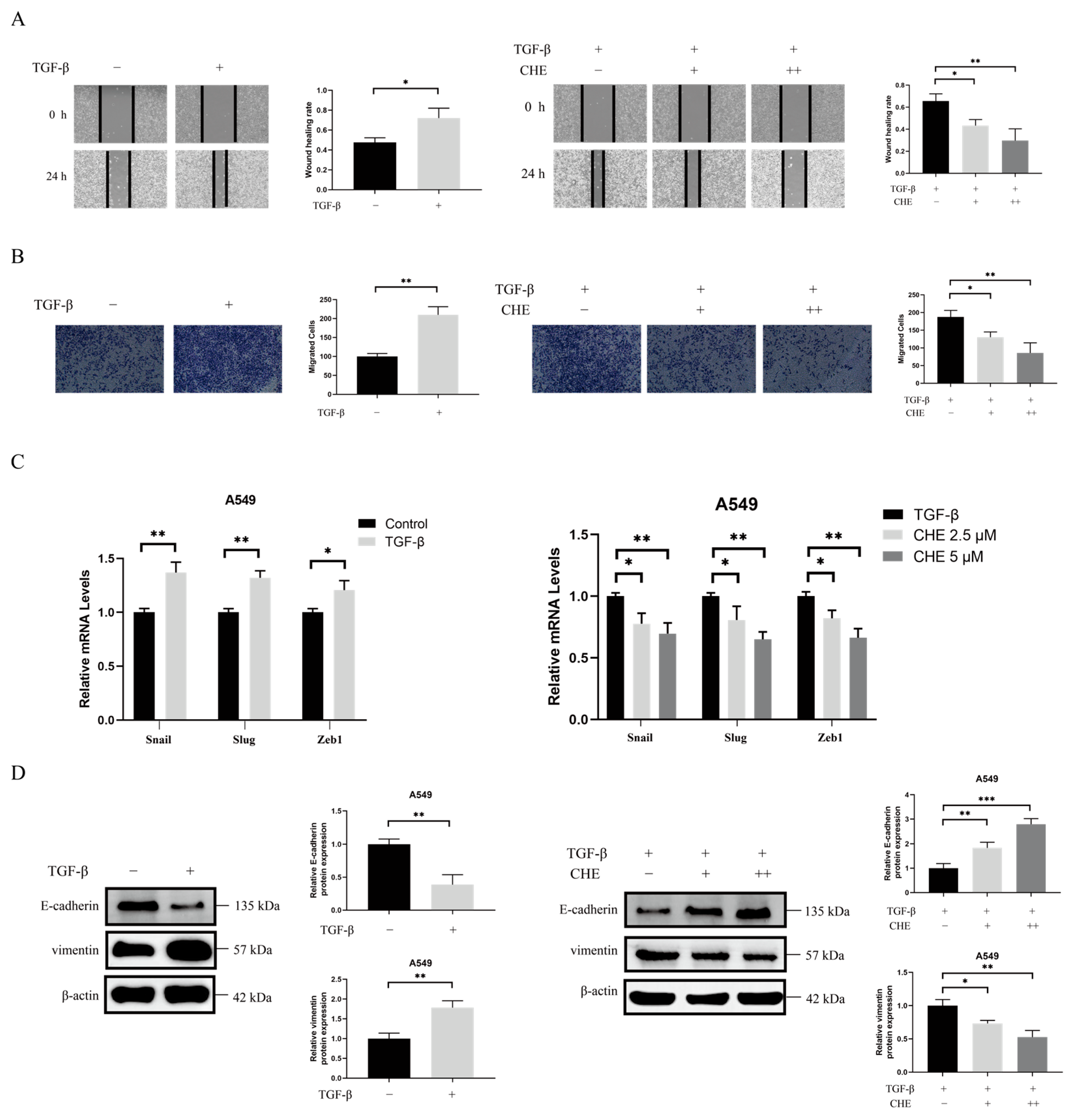 Pharmaceuticals 18 01036 g002