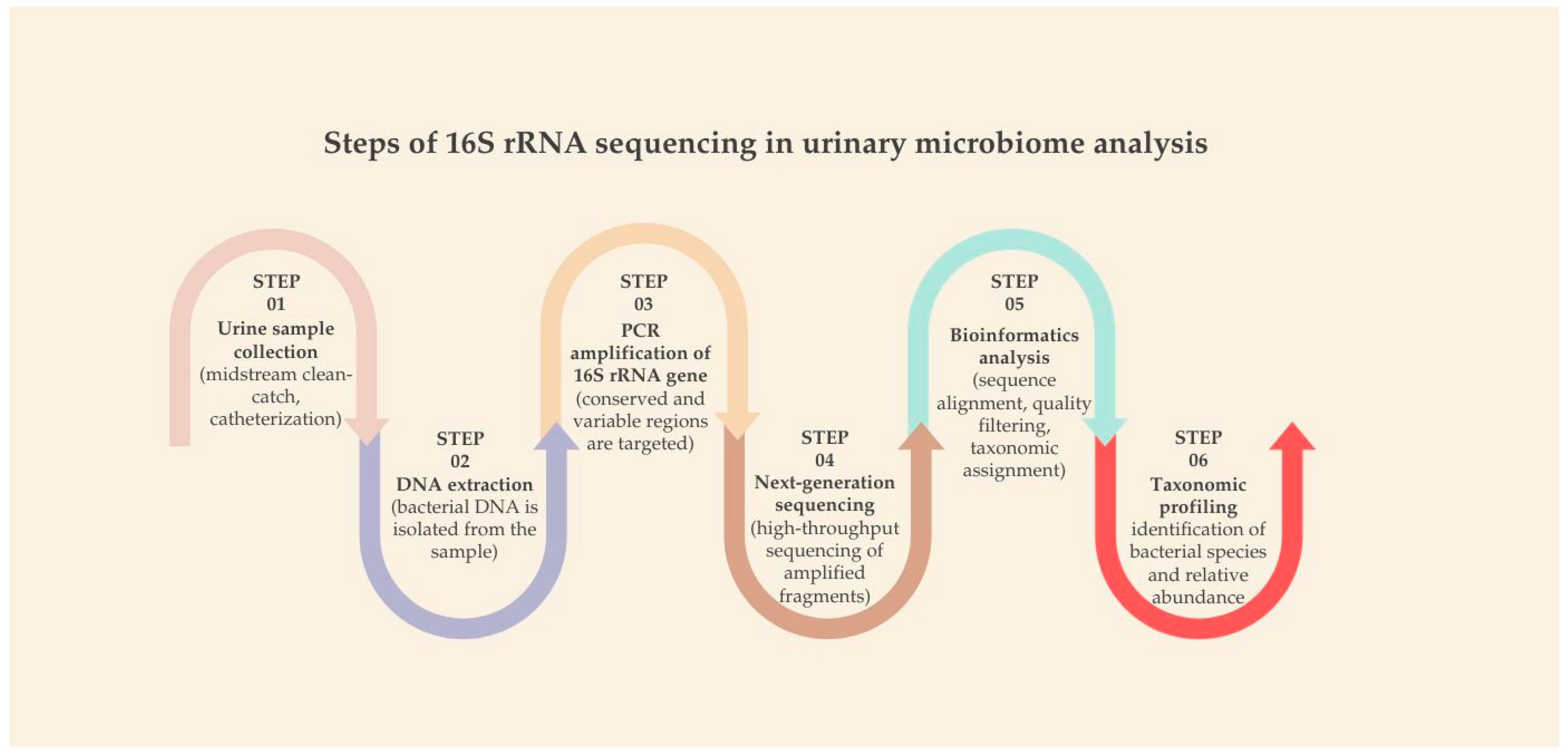 Pharmaceuticals 18 01038 g001
