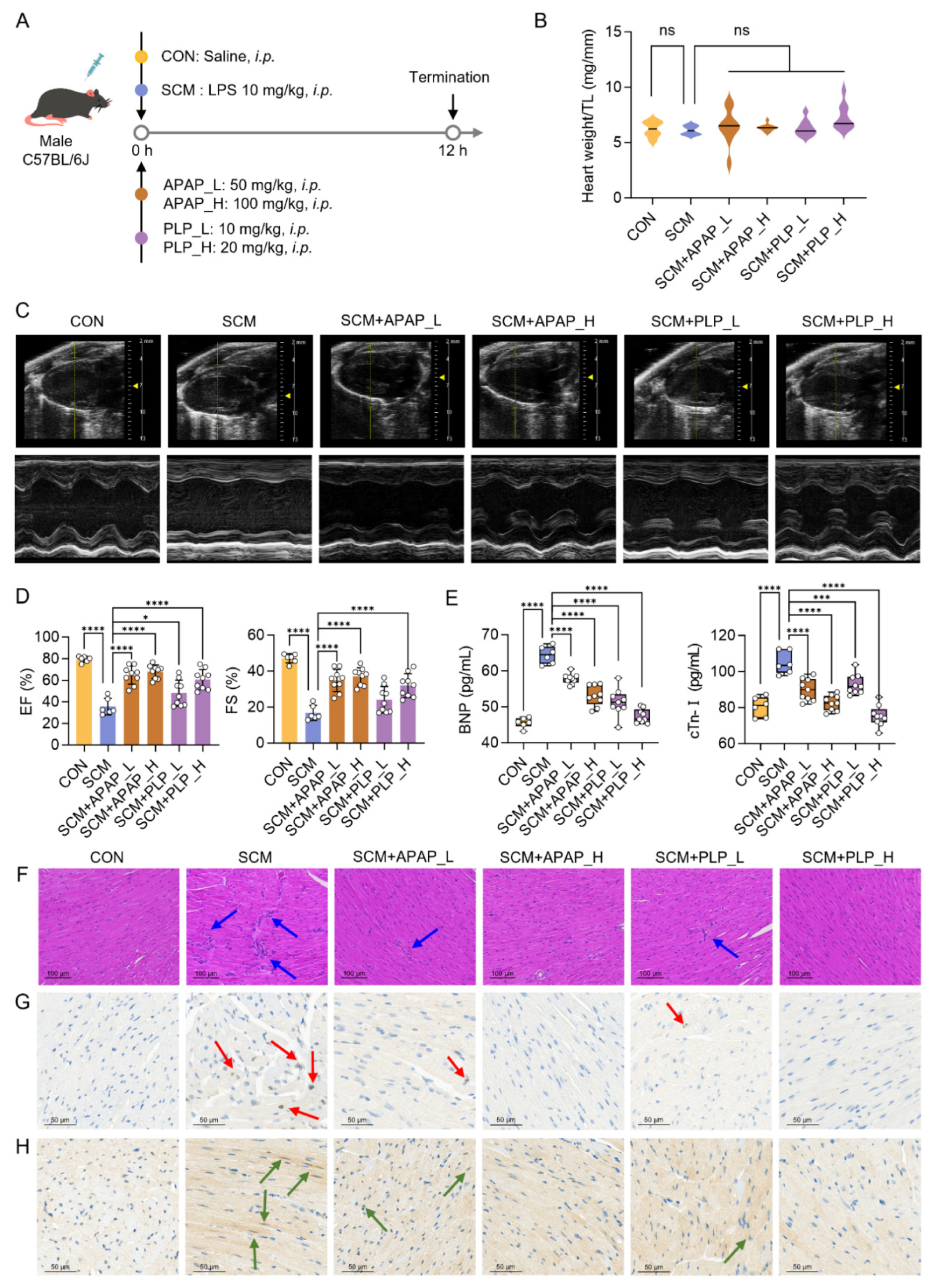 Pharmaceuticals 18 01040 g007