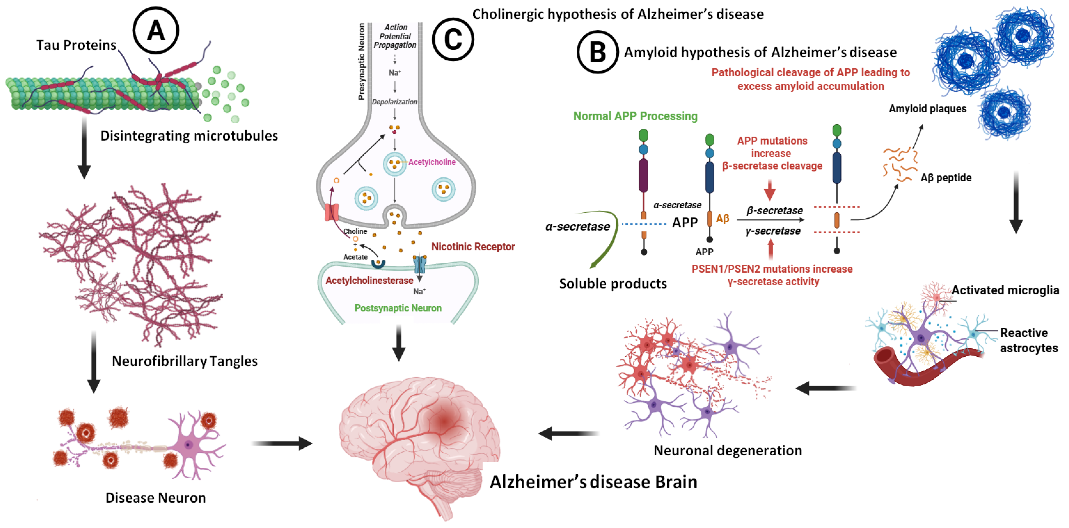 Pharmaceuticals 18 01041 g003