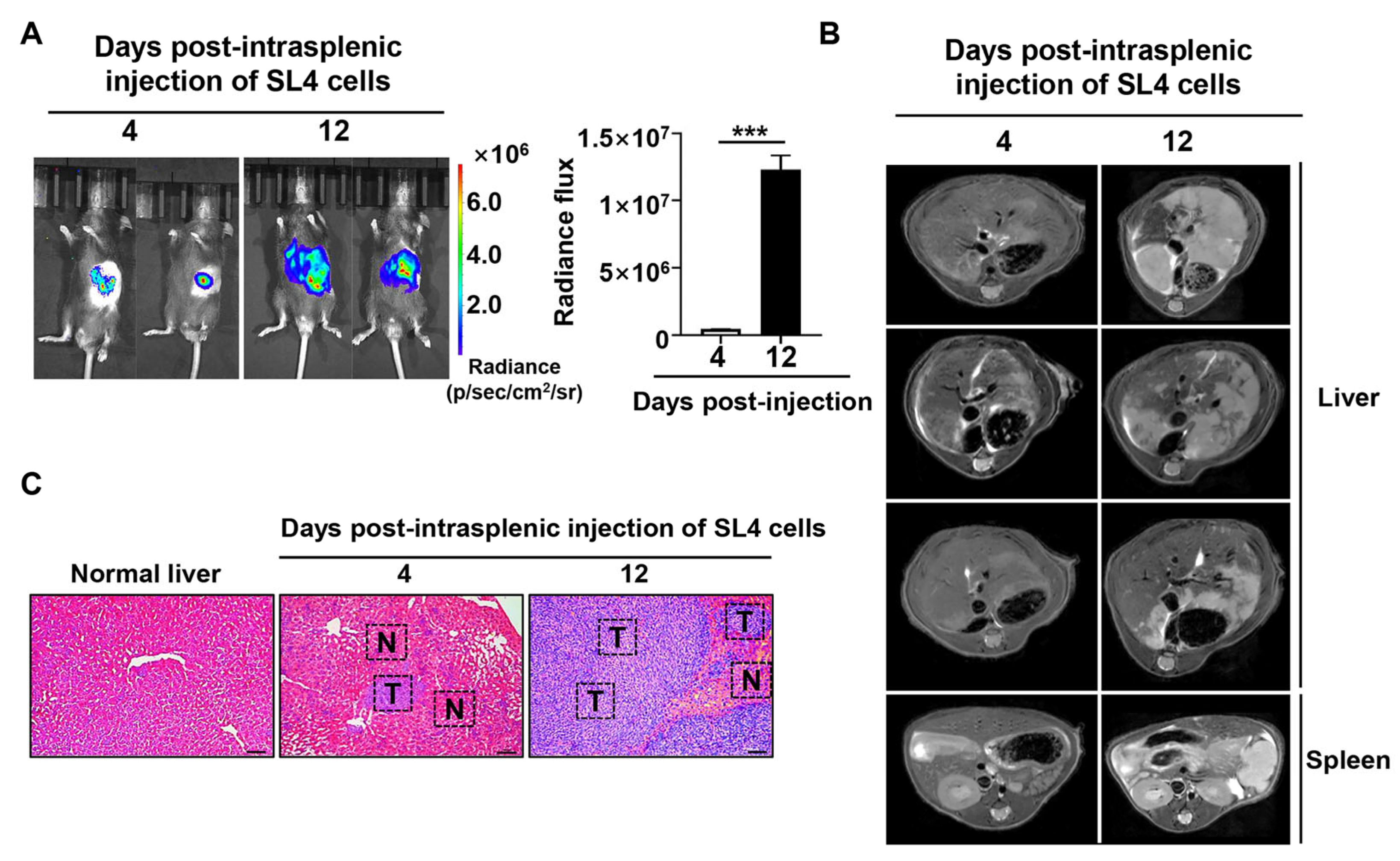 Pharmaceuticals 18 01052 g002
