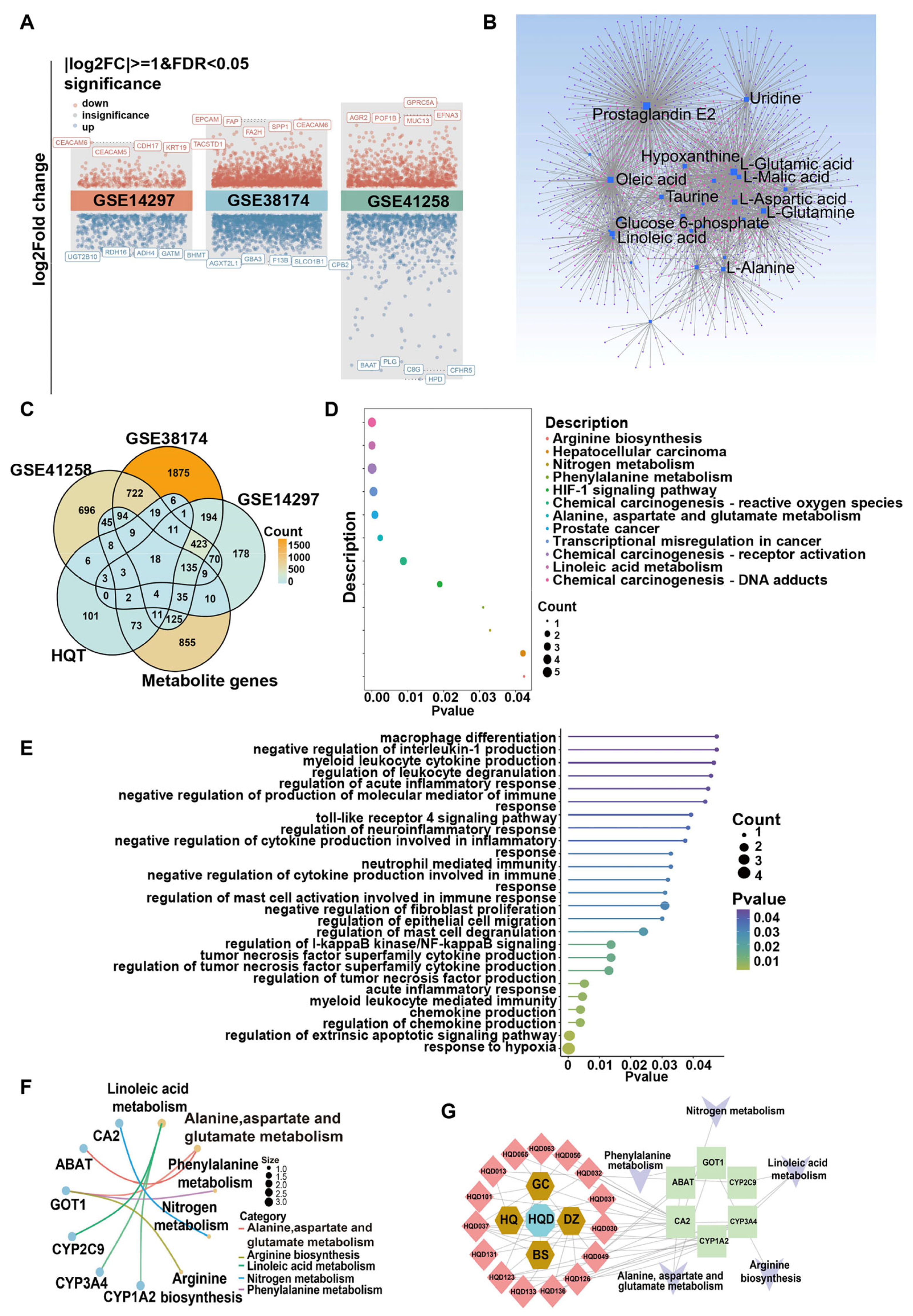 Pharmaceuticals 18 01052 g005