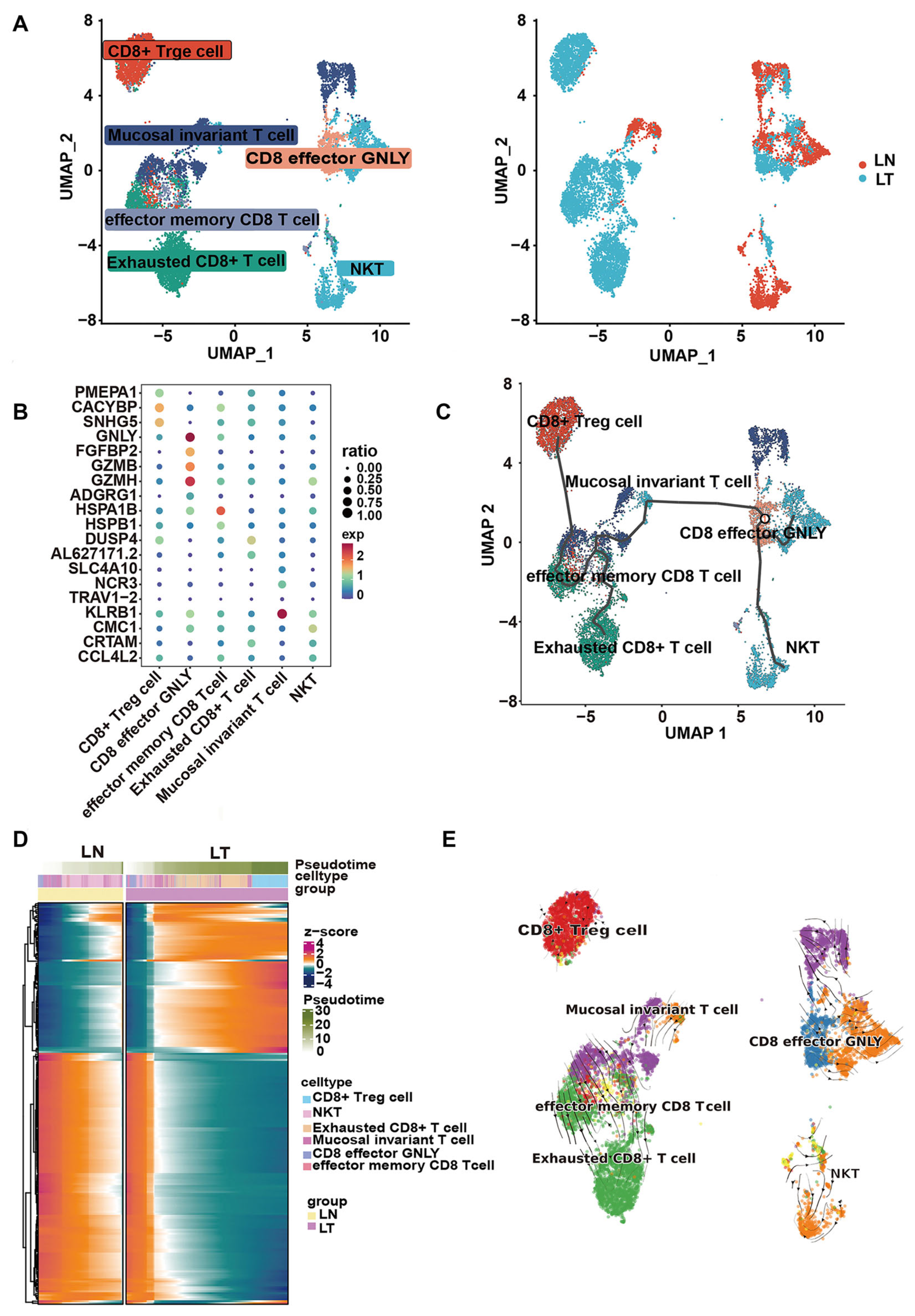 Pharmaceuticals 18 01052 g009