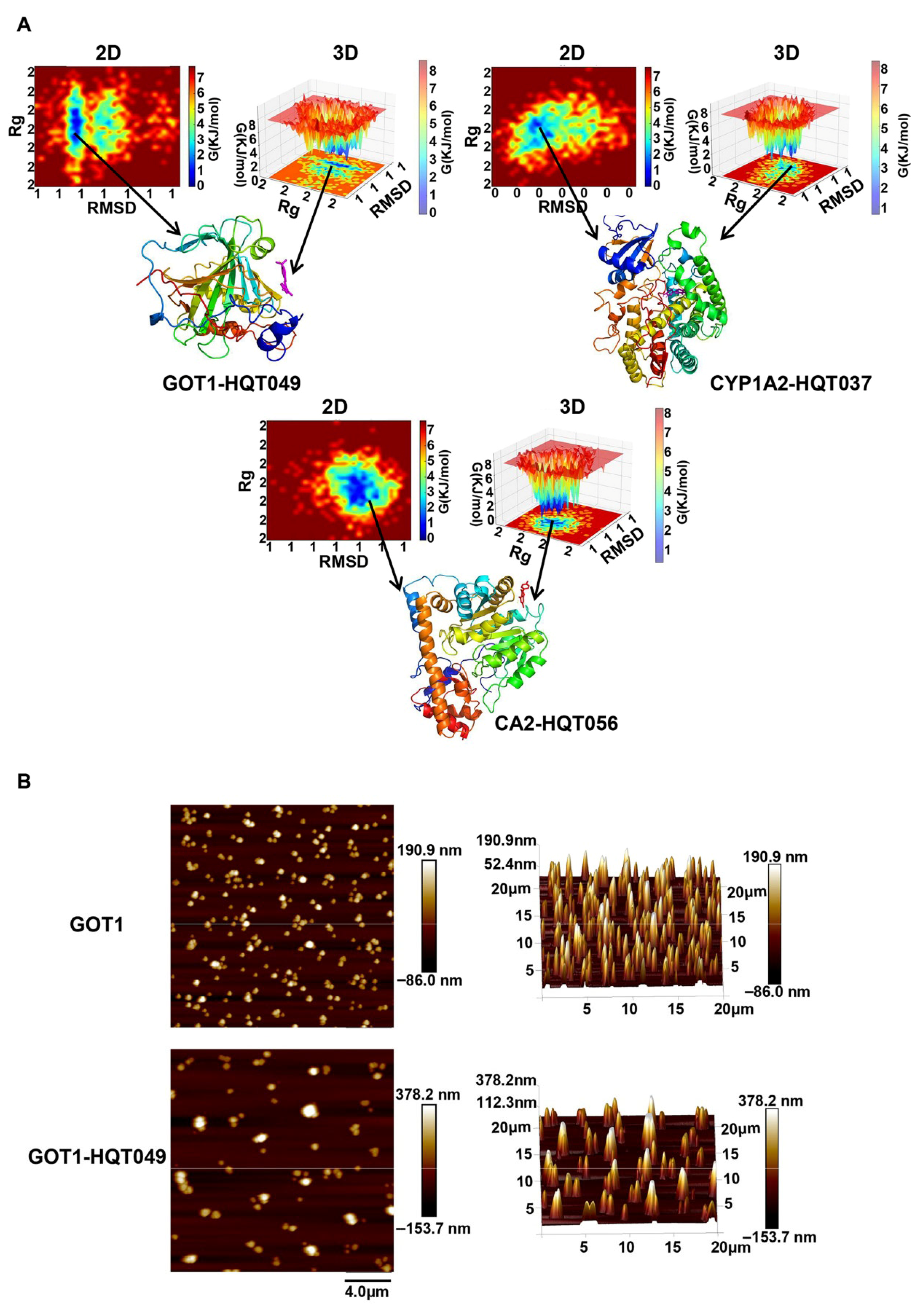 Pharmaceuticals 18 01052 g012