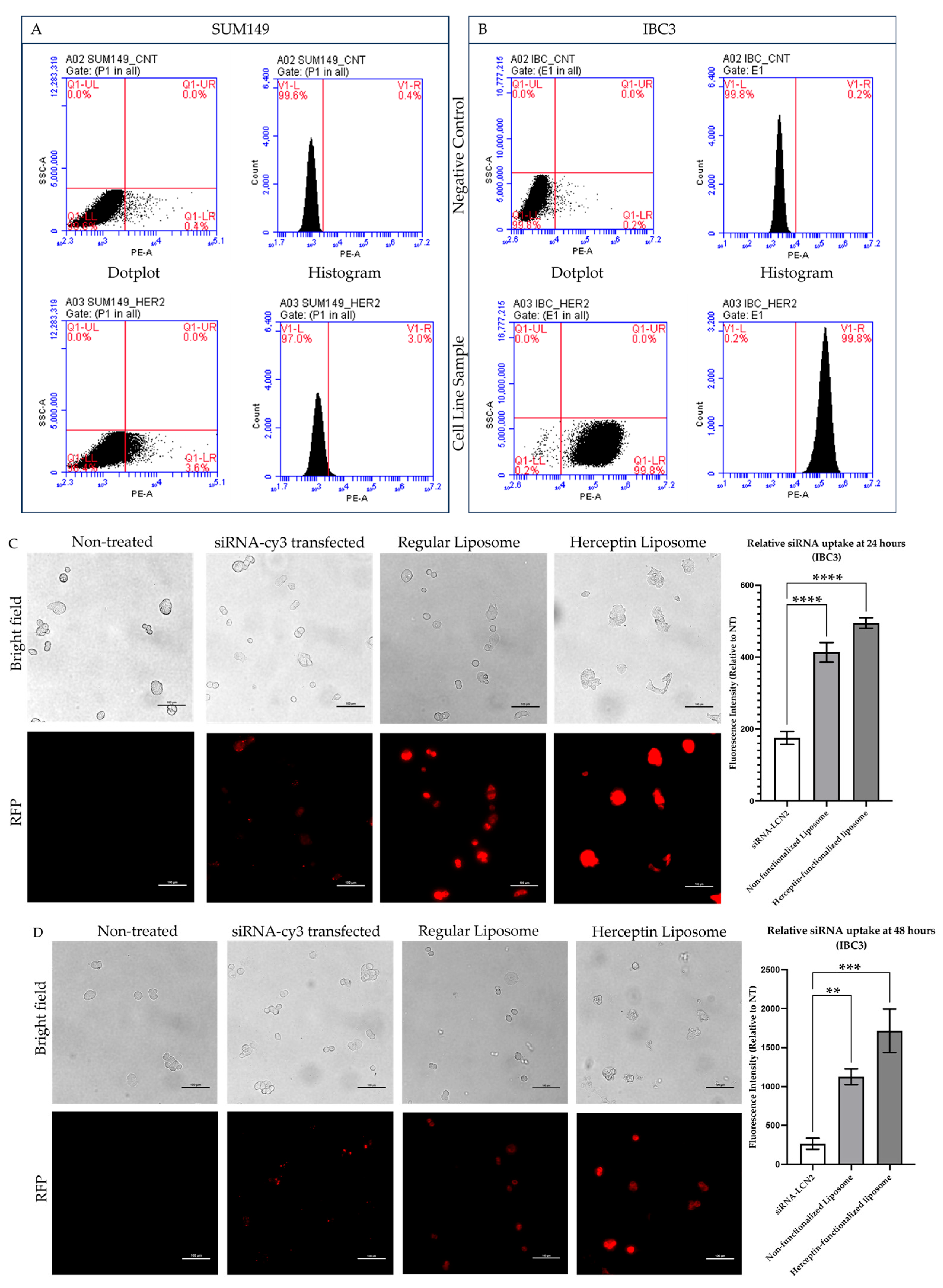 Pharmaceuticals 18 01053 g003a Pharmaceuticals 18 01053 g003a