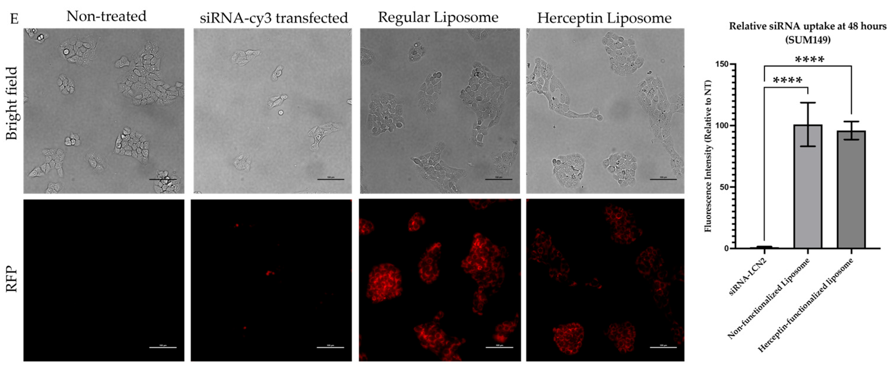 Pharmaceuticals 18 01053 g003b Pharmaceuticals 18 01053 g003b