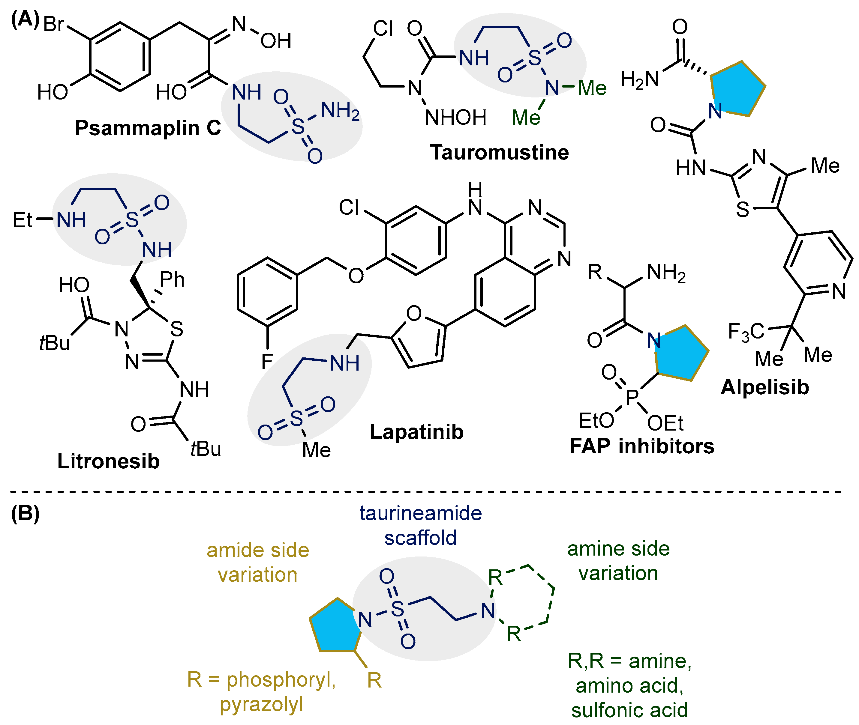Pharmaceuticals 18 01056 g001