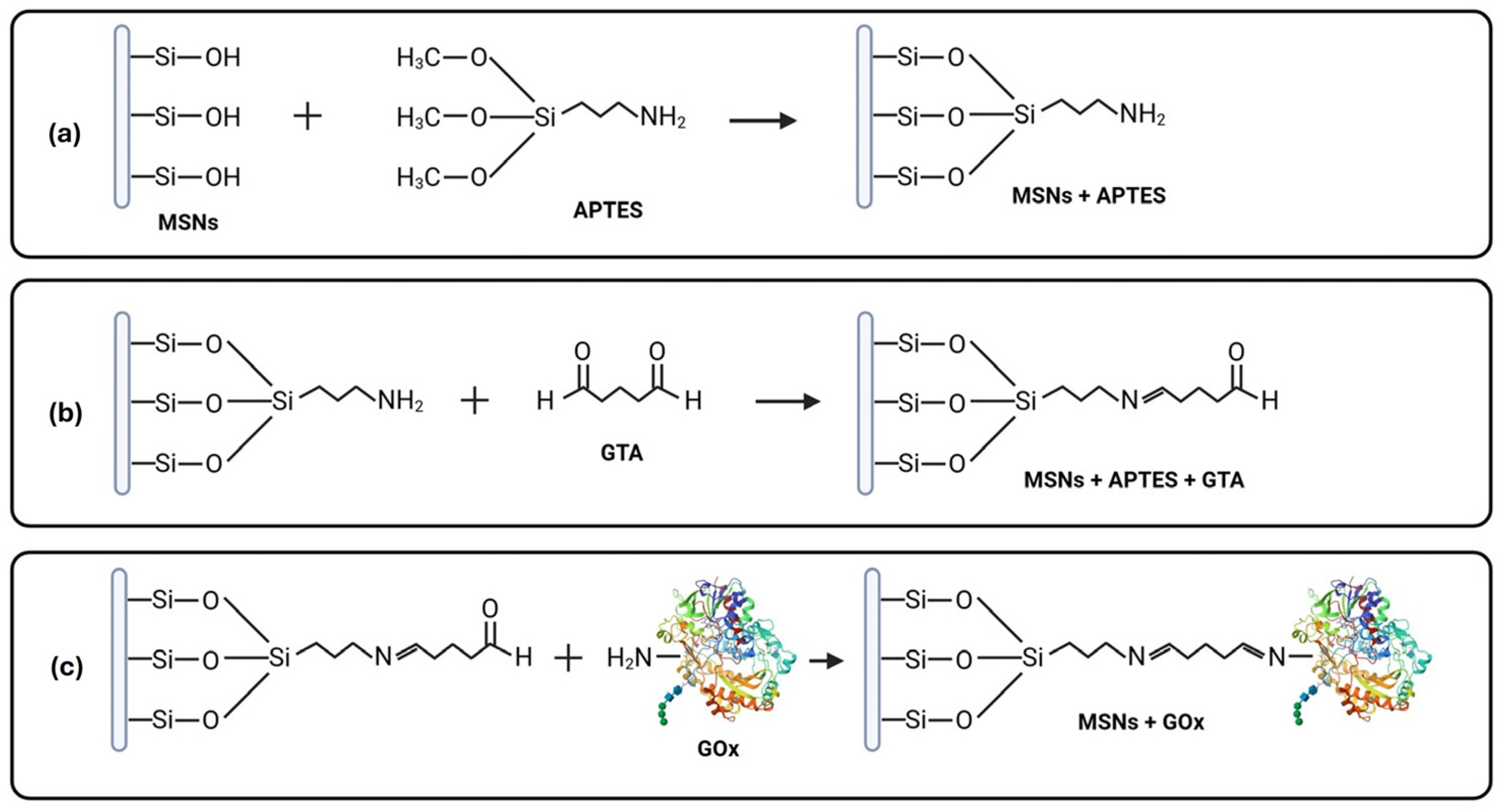 Pharmaceuticals 18 01060 g001 Pharmaceuticals 18 01060 g001