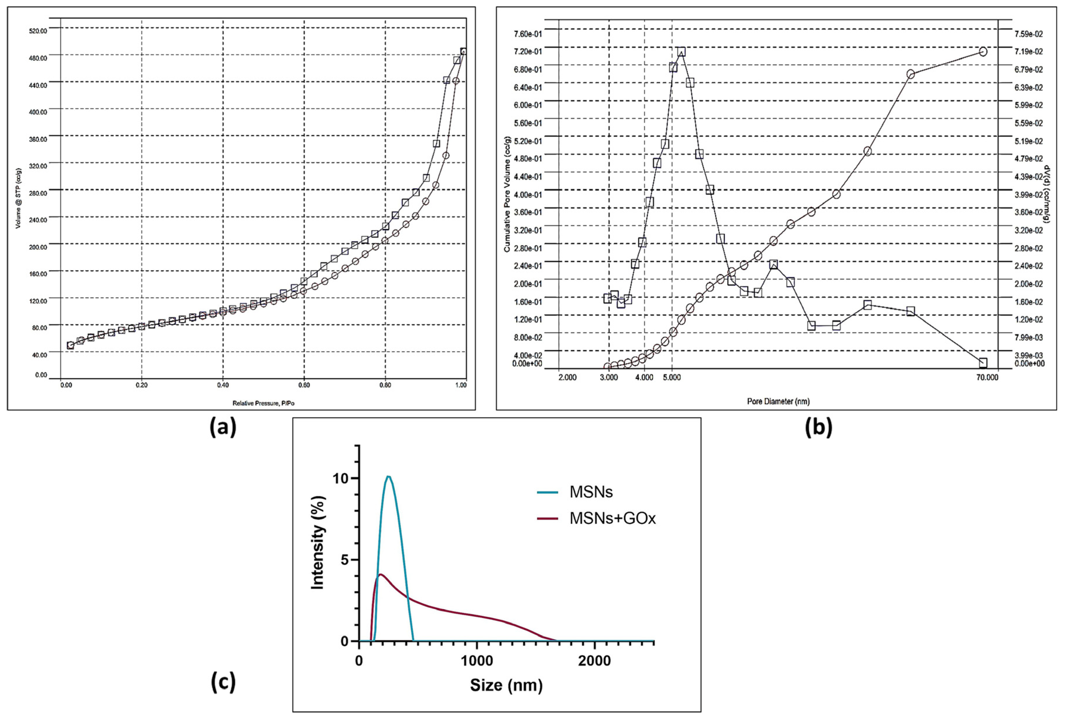 Pharmaceuticals 18 01060 g003 Pharmaceuticals 18 01060 g003
