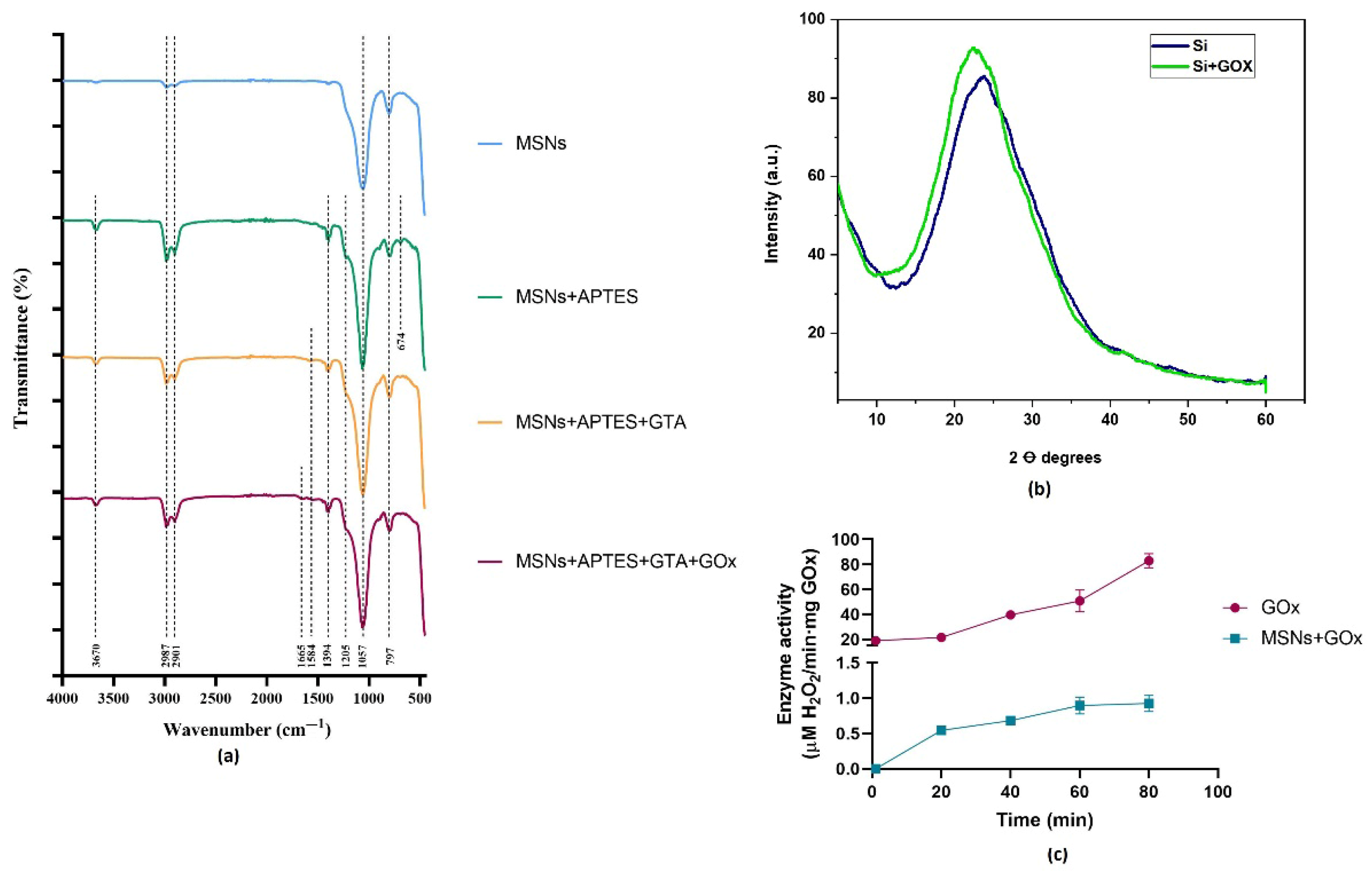 Pharmaceuticals 18 01060 g004 Pharmaceuticals 18 01060 g004
