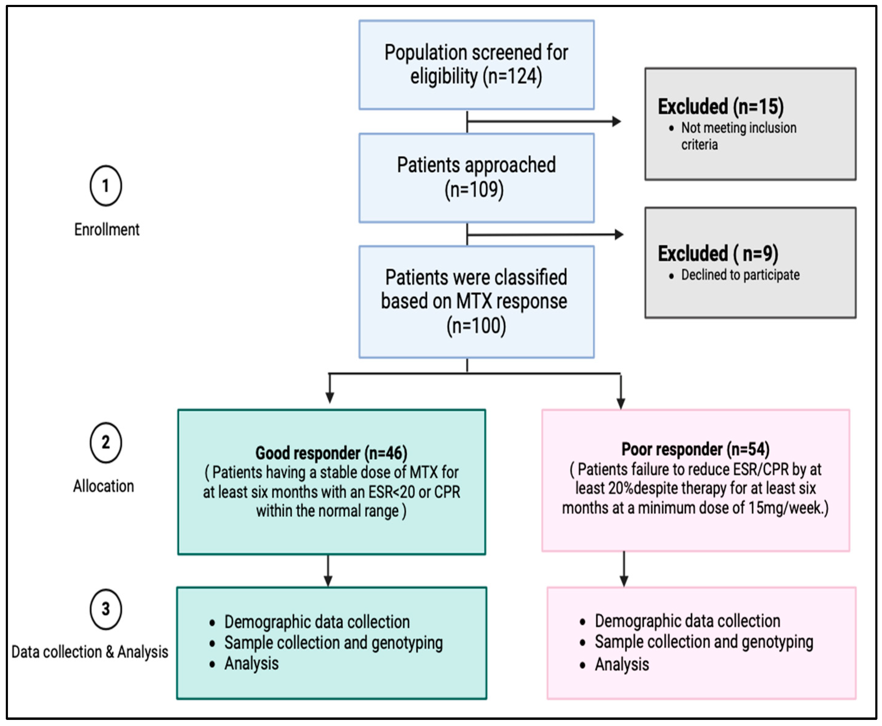 Pharmaceuticals 18 01069 g003