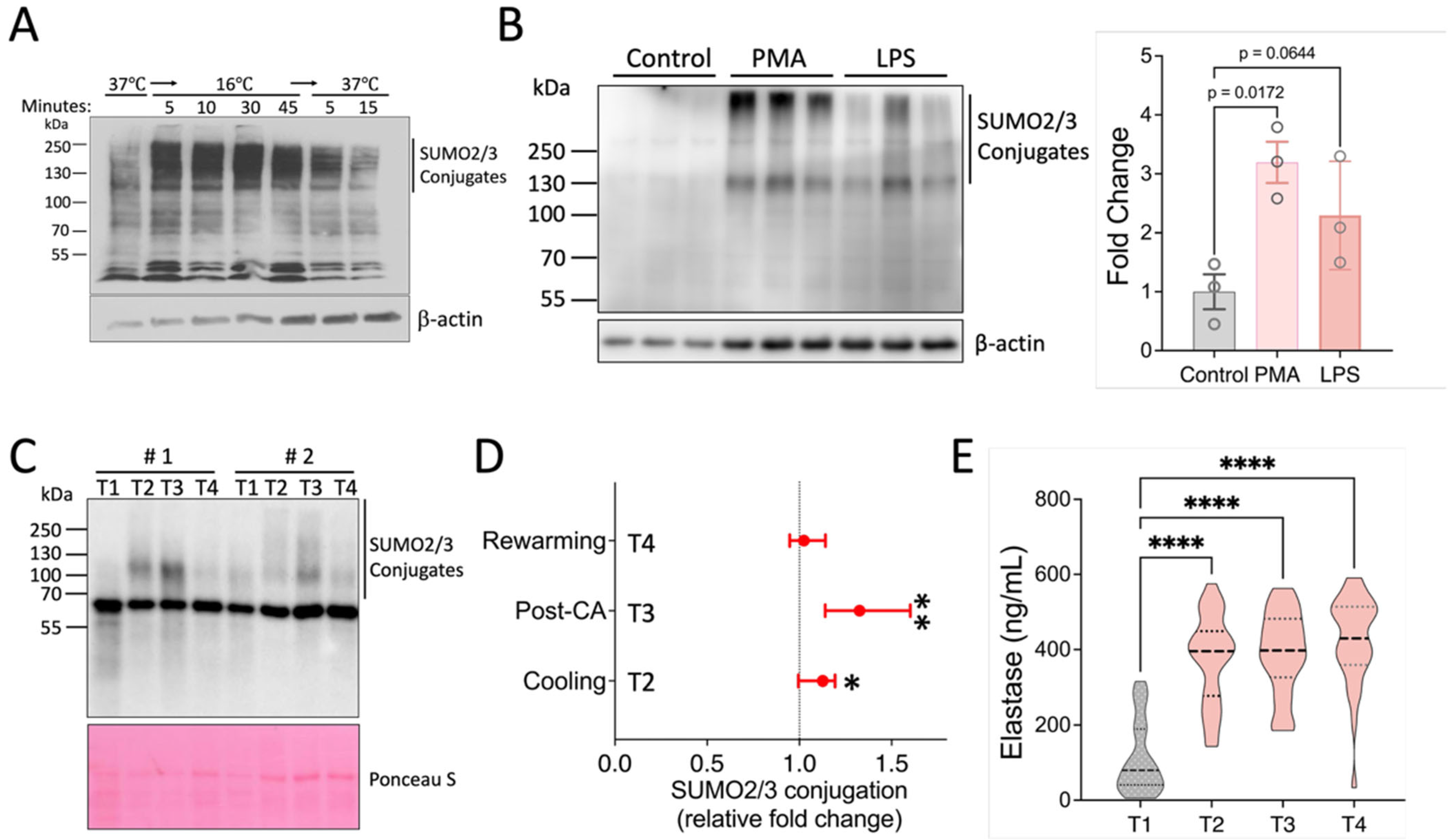 Pharmaceuticals 18 01070 g001 Pharmaceuticals 18 01070 g001